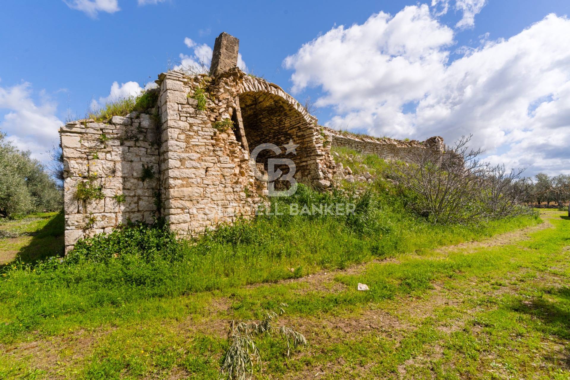 Terreno agricolo in vendita a Ruvo di Puglia