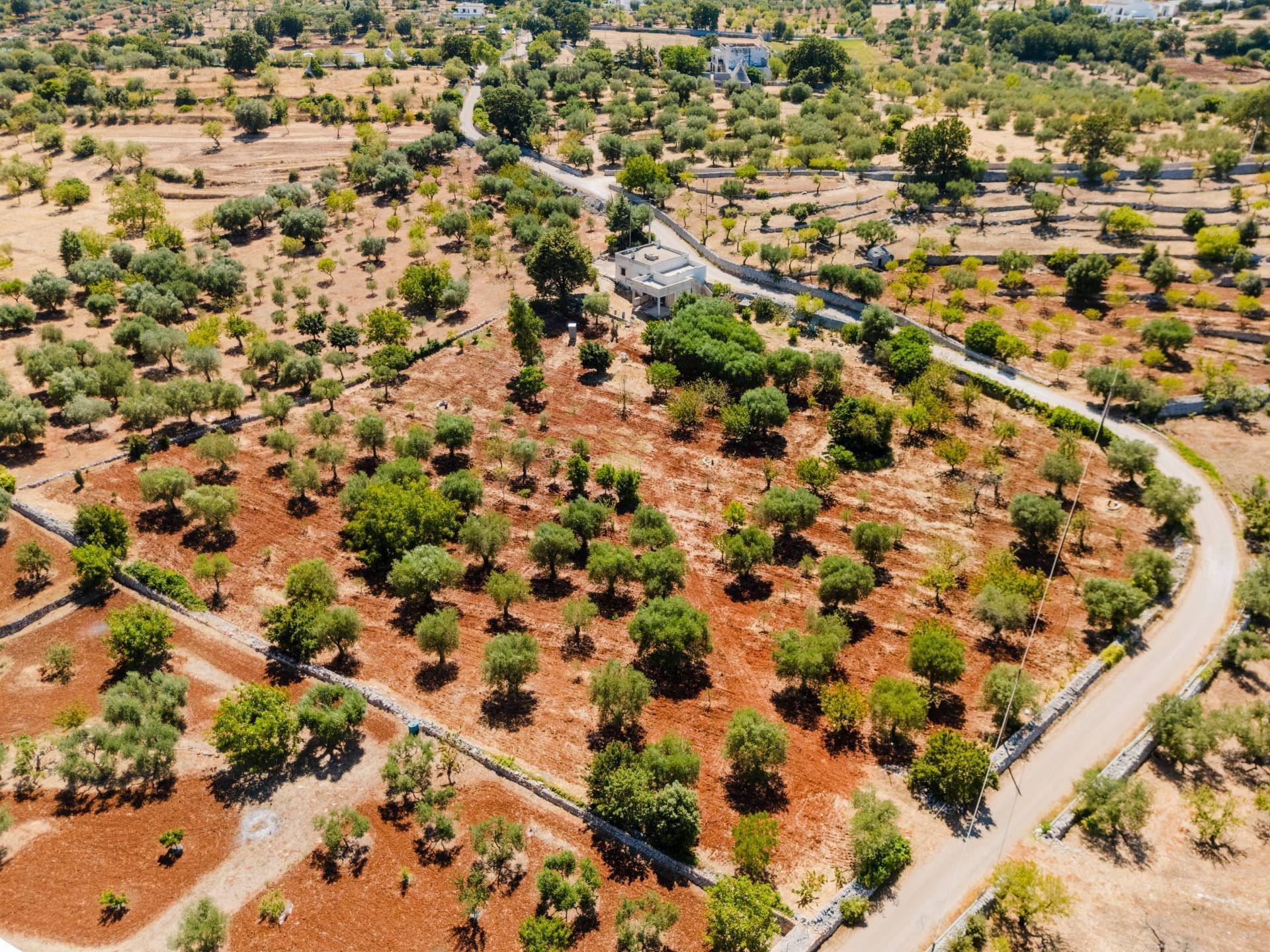 Villa in vendita a Monopoli