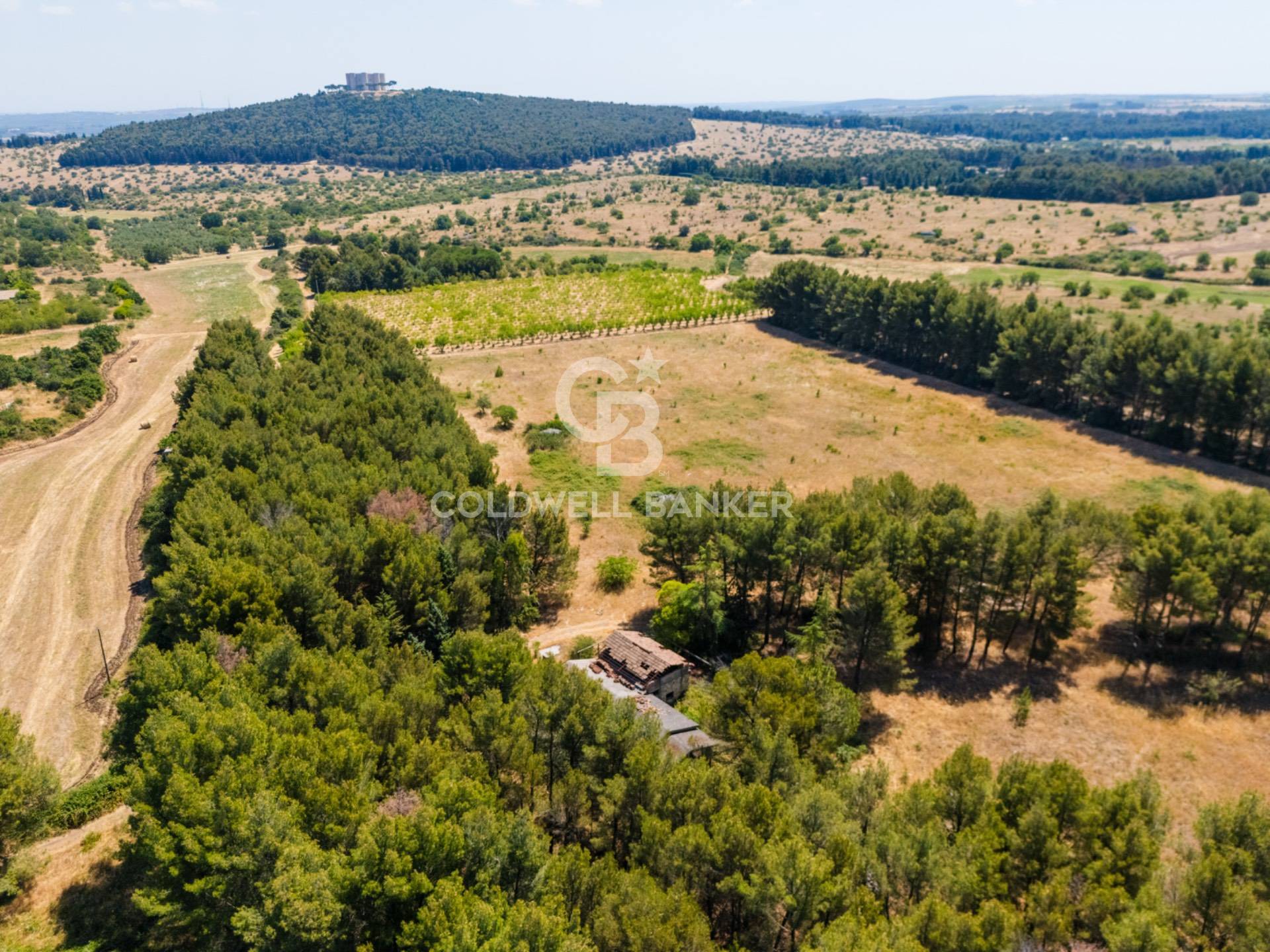 Rustico/Casale/Corte in vendita a Andria