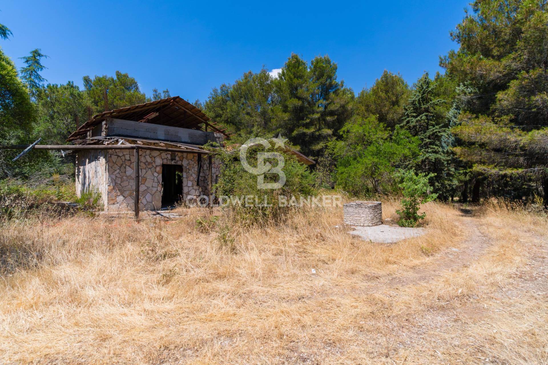 Rustico/Casale/Corte in vendita a Andria