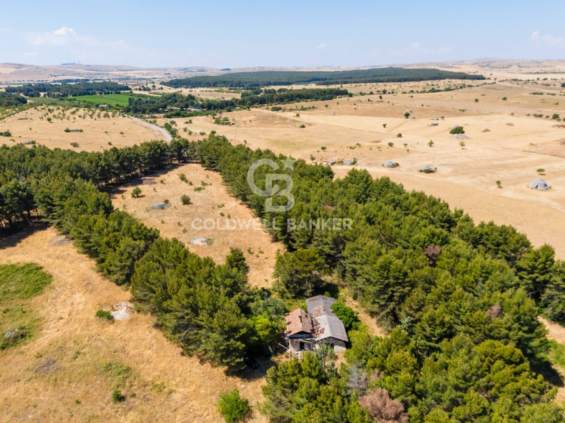 Rustico/Casale/Corte in vendita a Andria