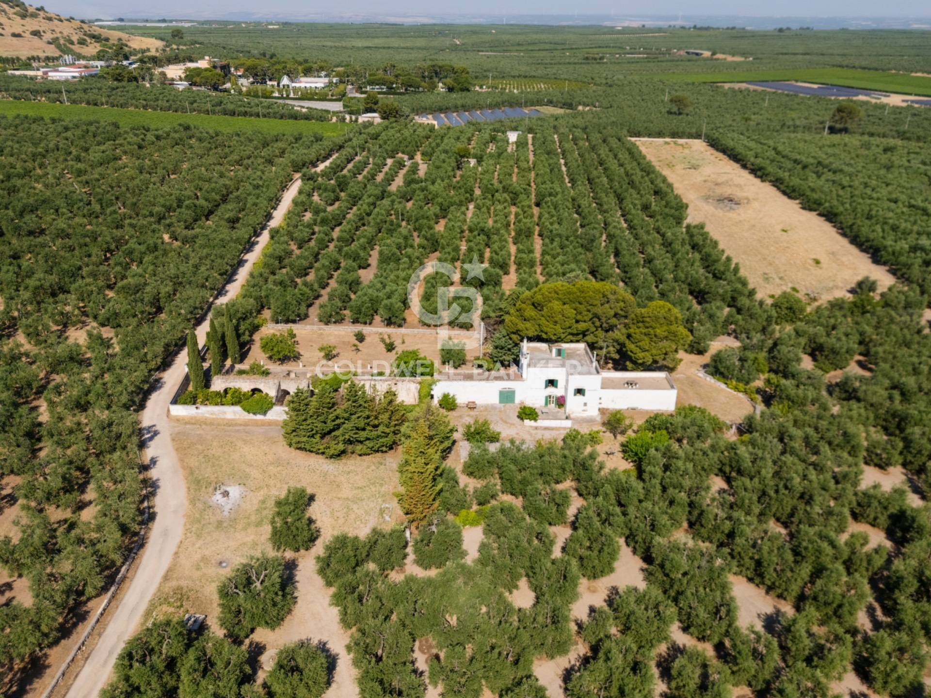 Masseria in vendita a Andria