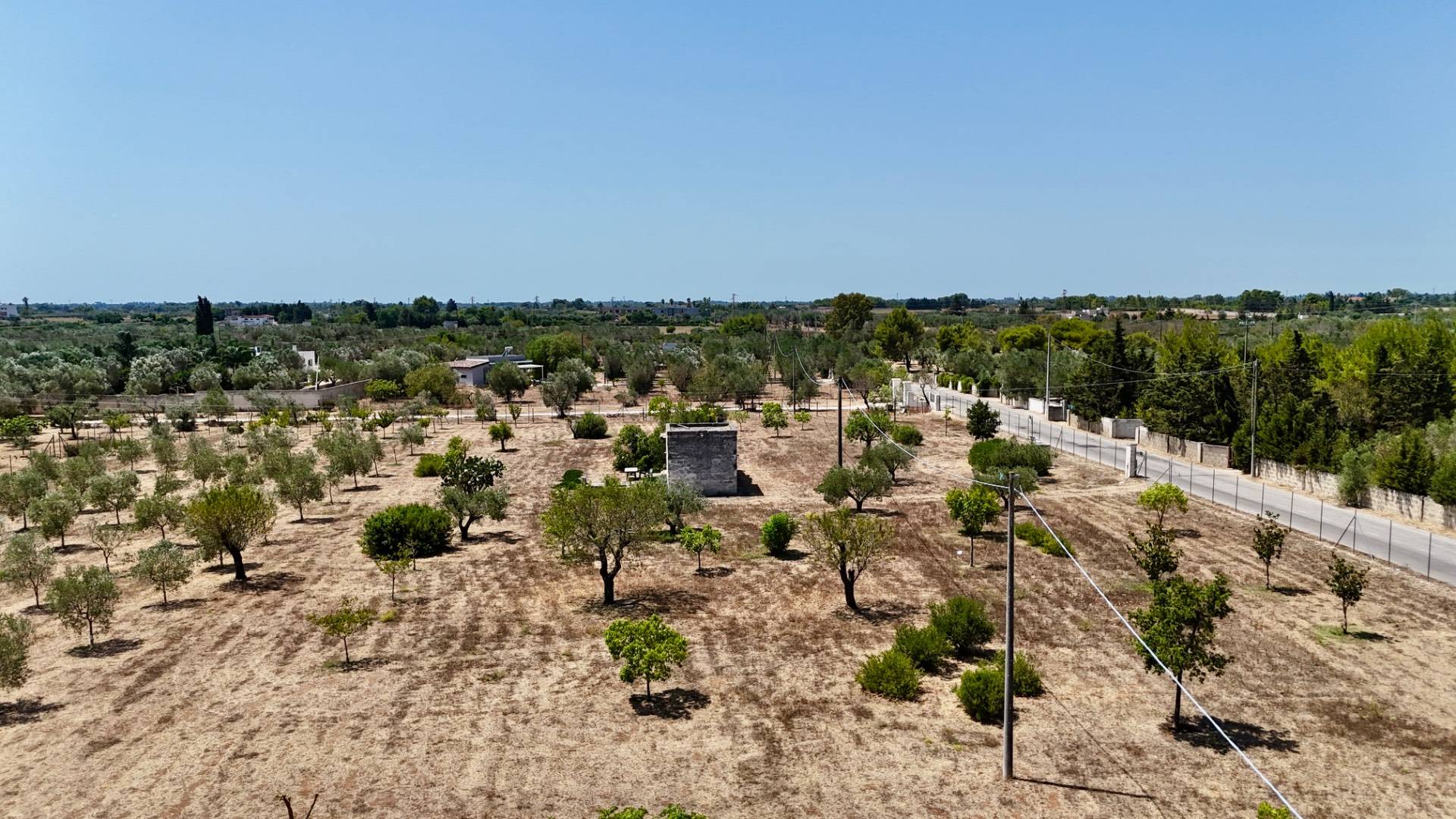Rustico/Casale/Corte in vendita a Novoli