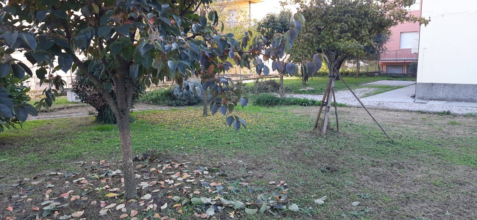 immagine annuncio 3 di 6