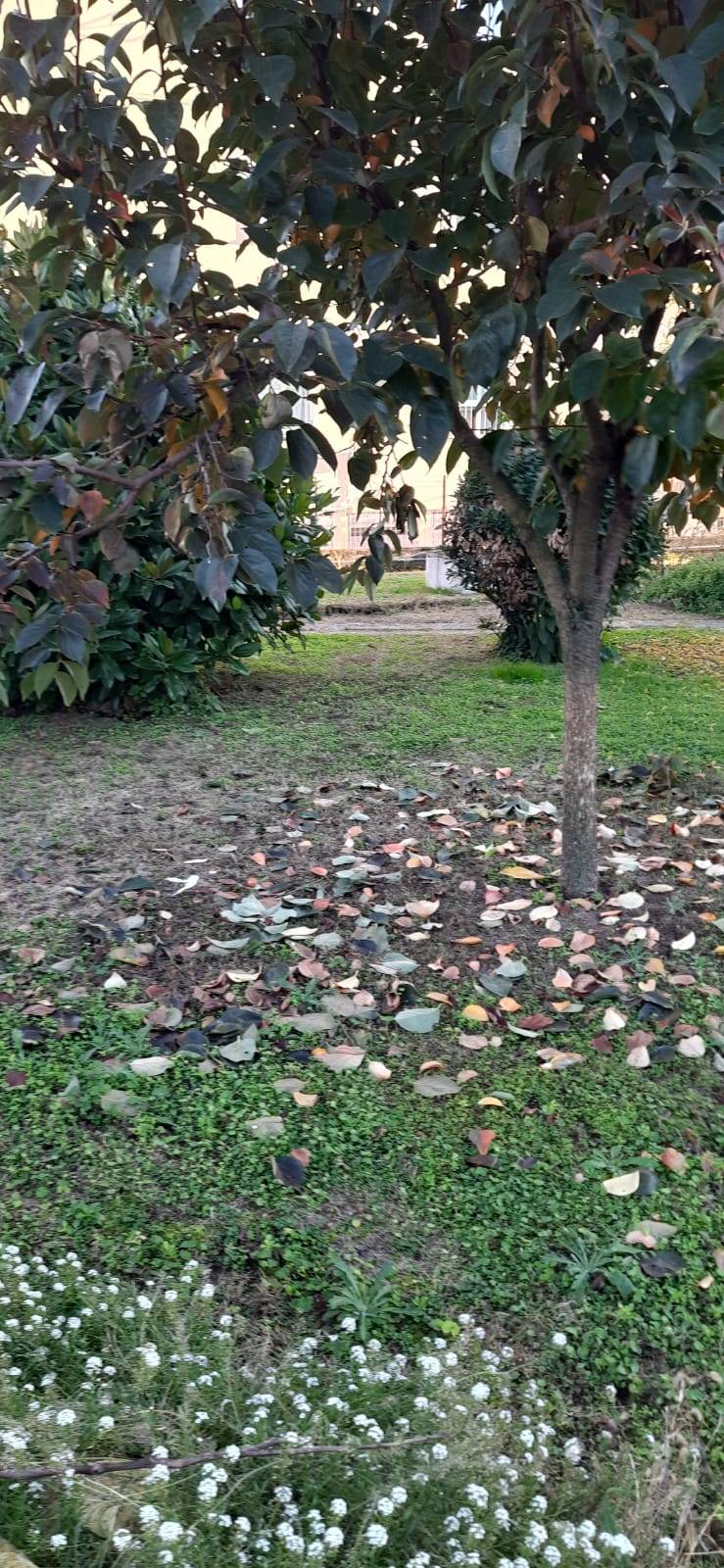immagine annuncio 4 di 6