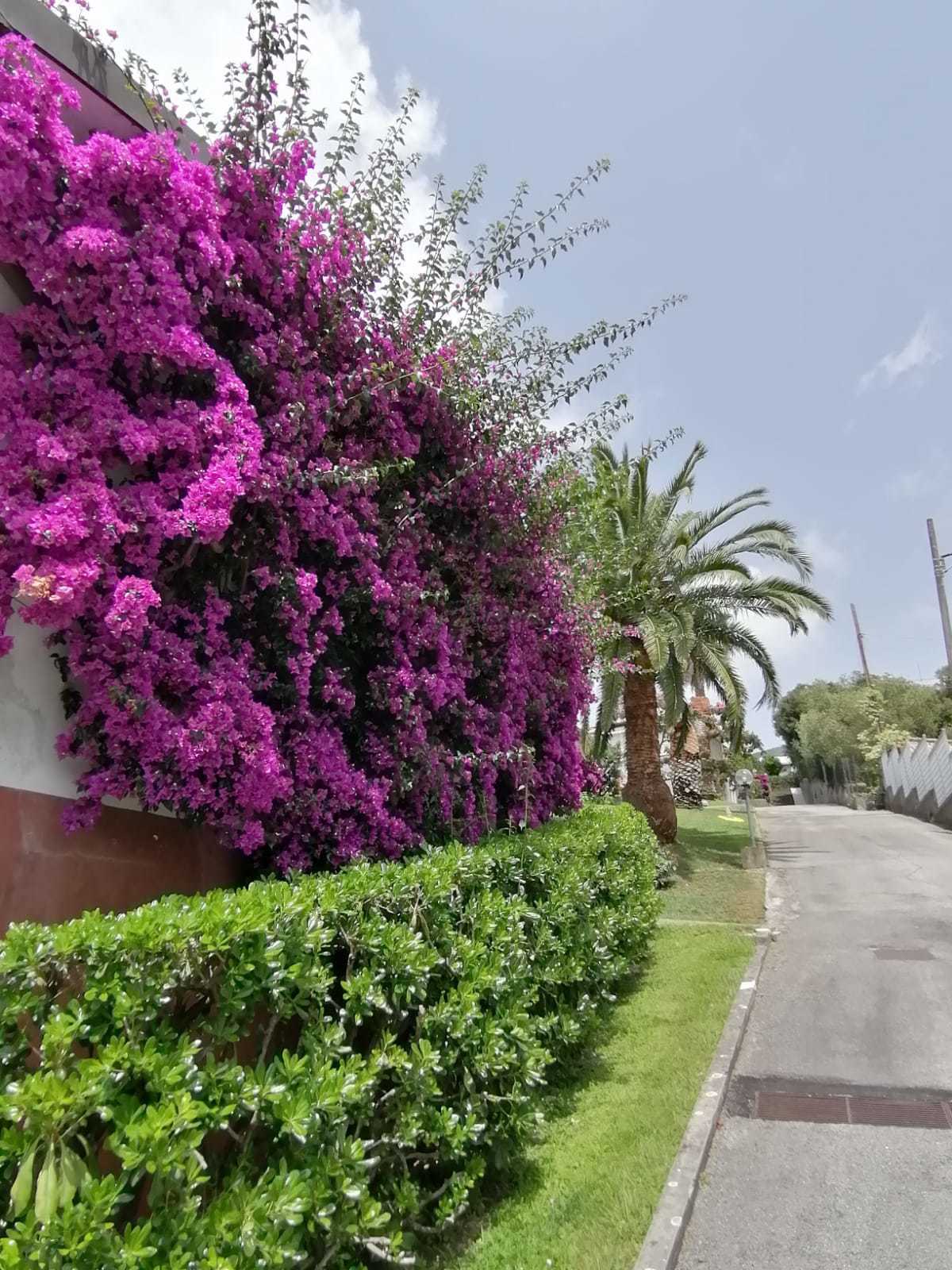 Monolocale con terrazzo in via olanda 58, Sestri Levante