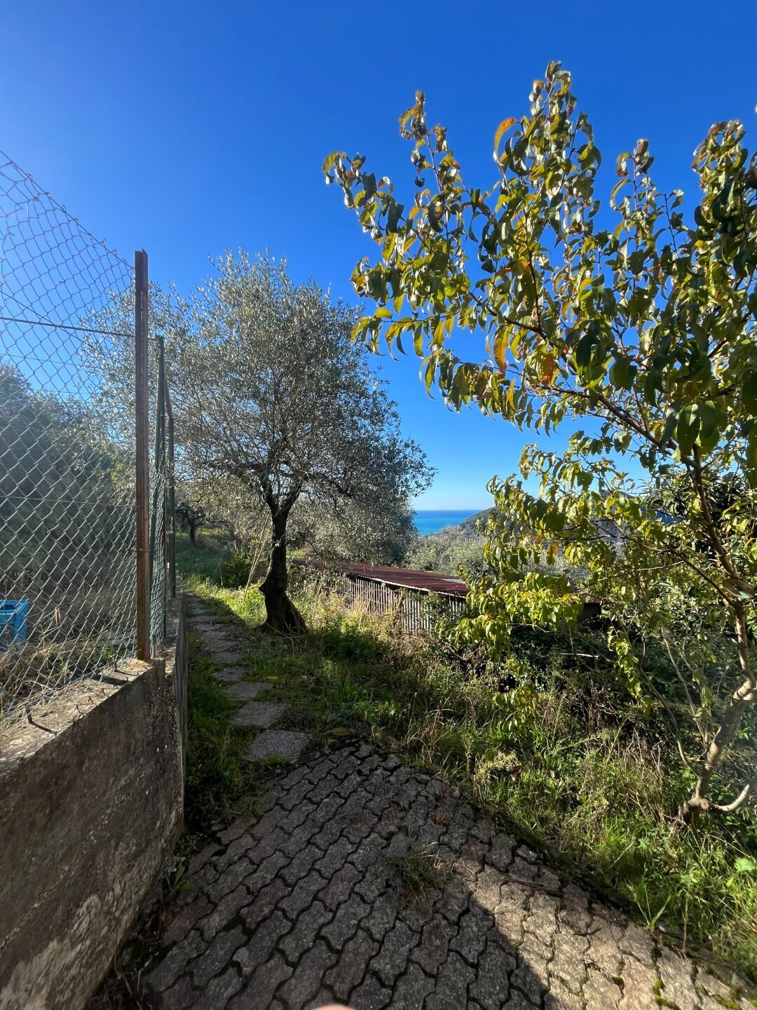 Stabile/Palazzo da ristrutturare in via miramare 43, Leivi