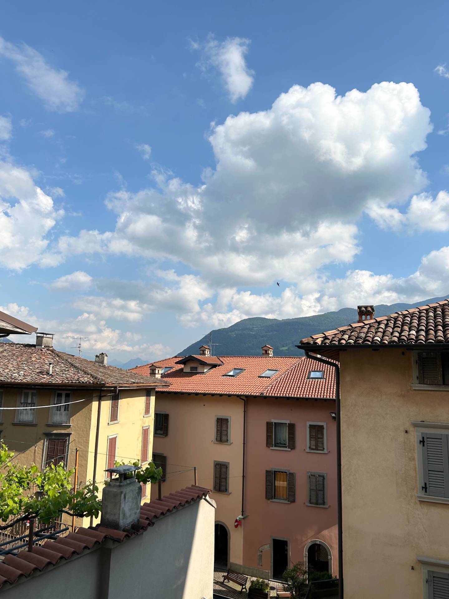 Appartamento in affitto a Clusone