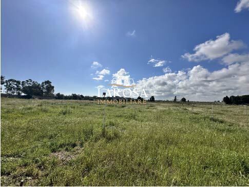 immagine annuncio 3 di 6