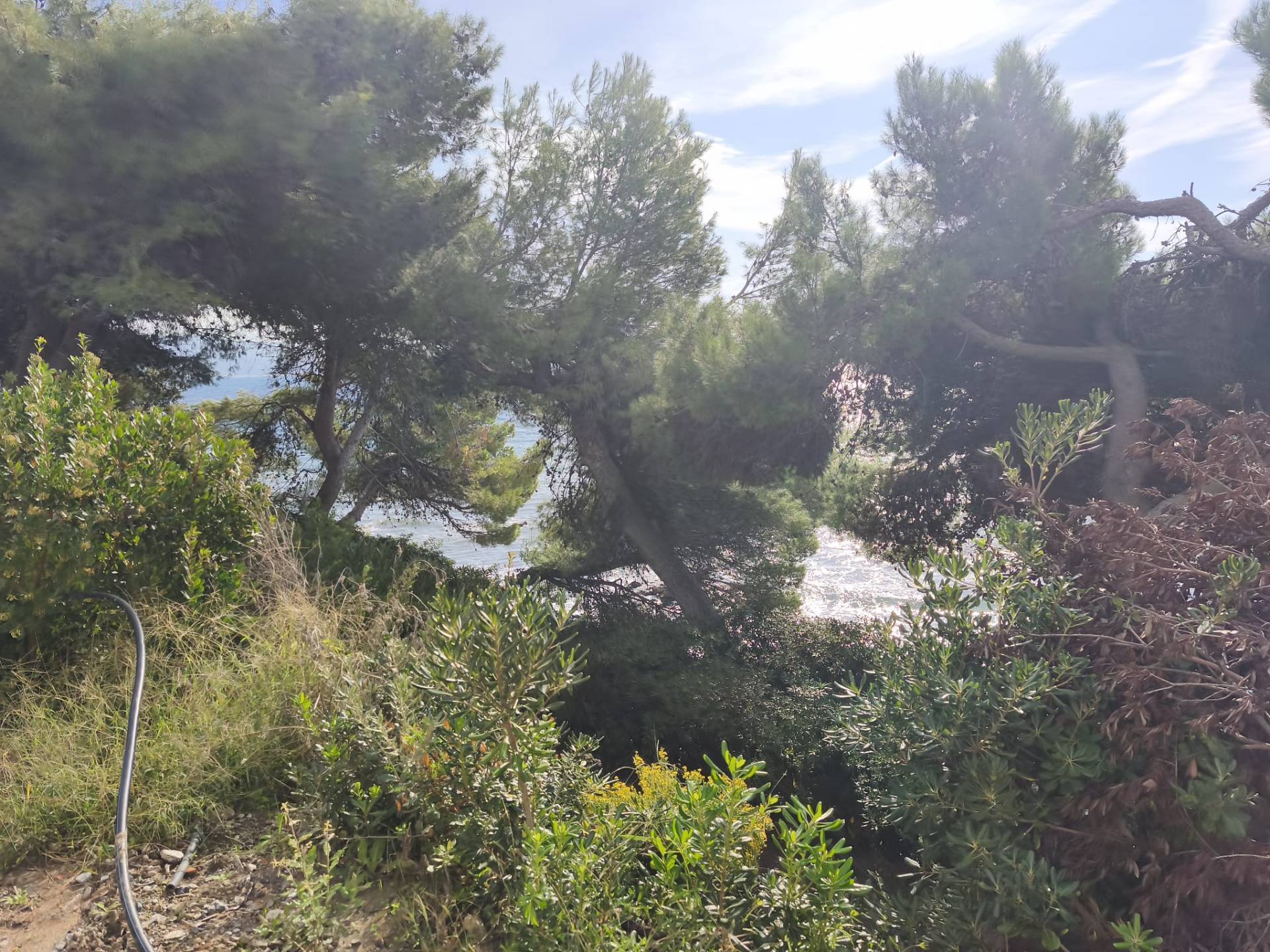 Villa in vendita a Pollica, Pioppi