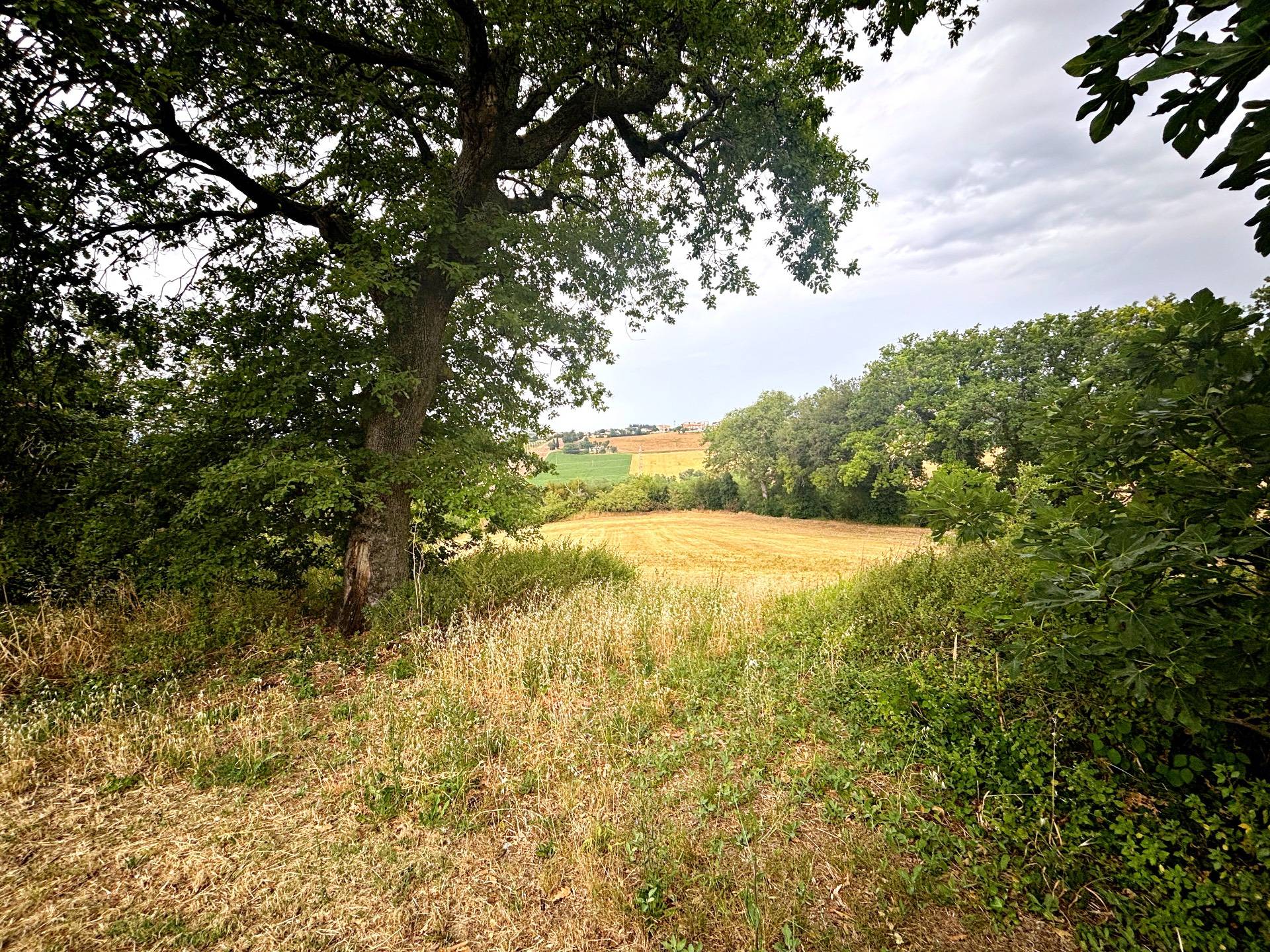 Rustico in vendita a Recanati