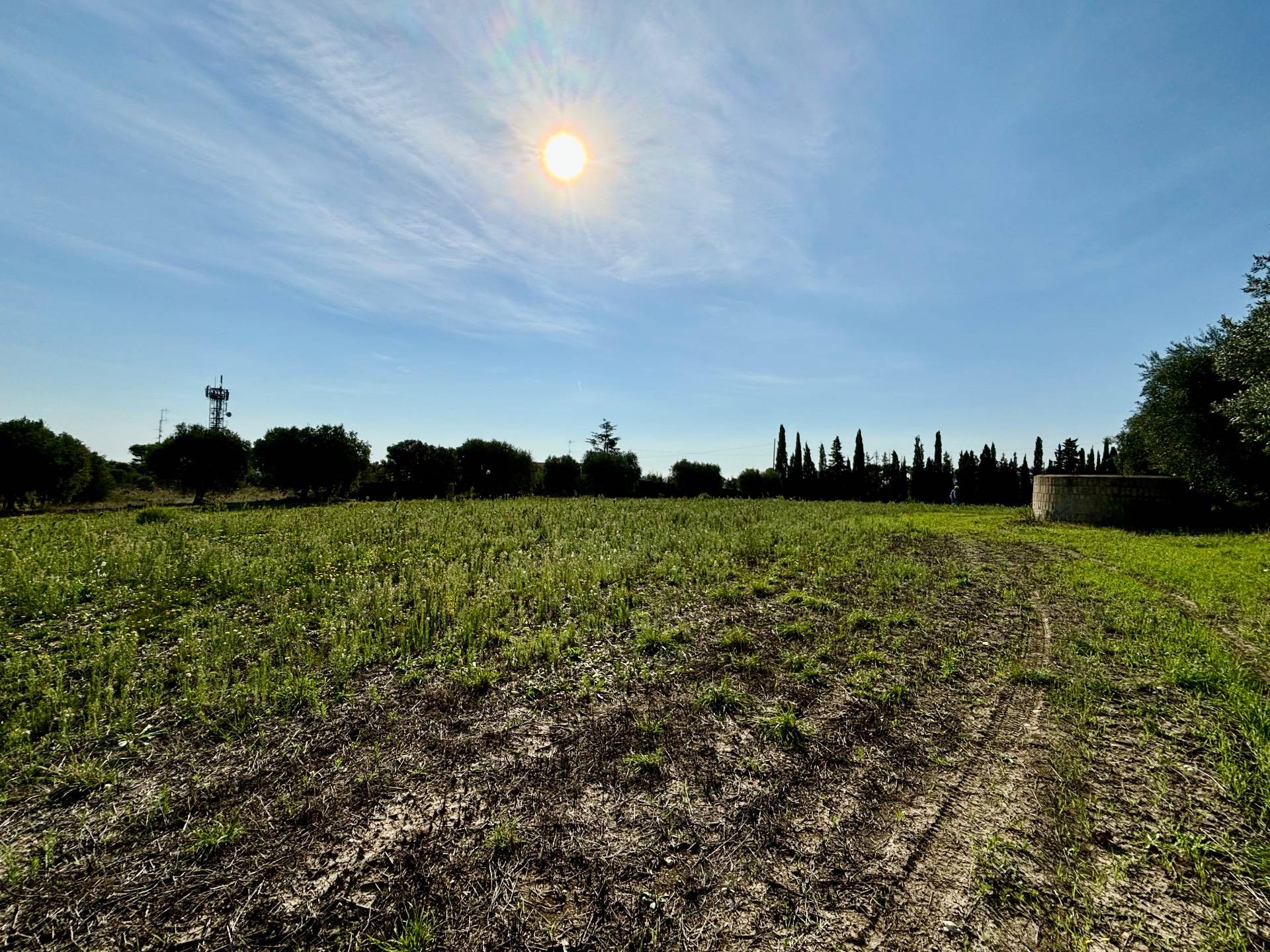 Terreno Agricolo in vendita a Grottammare