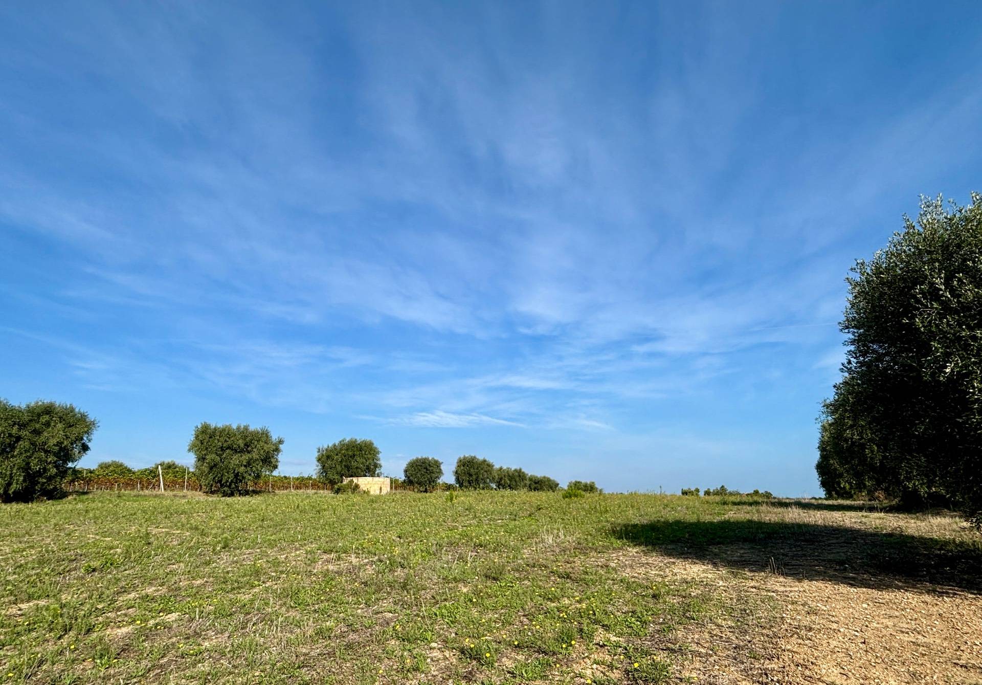 Terreno Agricolo in vendita a Grottammare