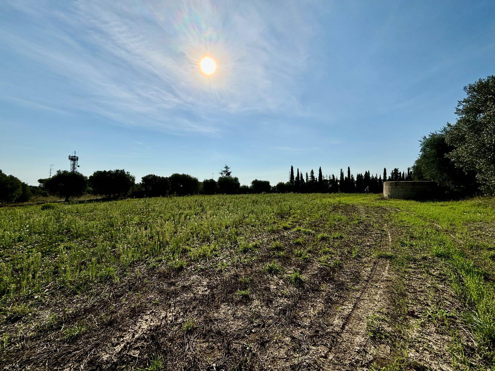 Terreno Agricolo in vendita a Grottammare