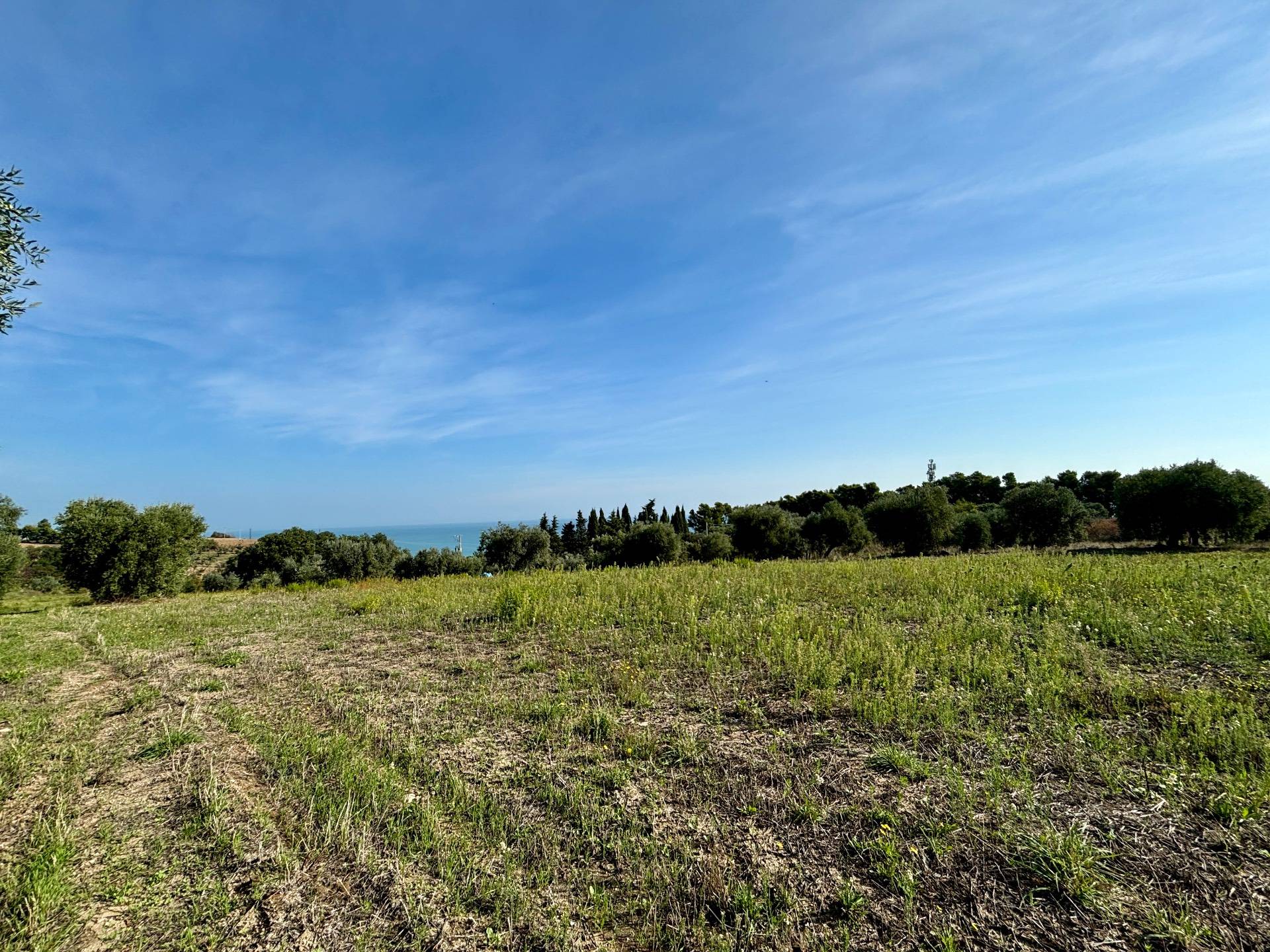 Terreno Agricolo in vendita a Grottammare