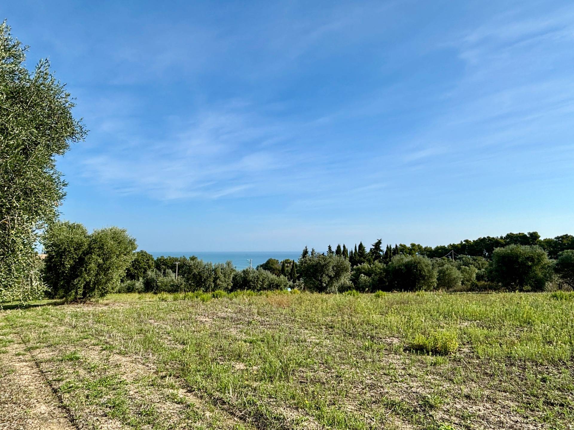 Terreno Agricolo in vendita a Grottammare
