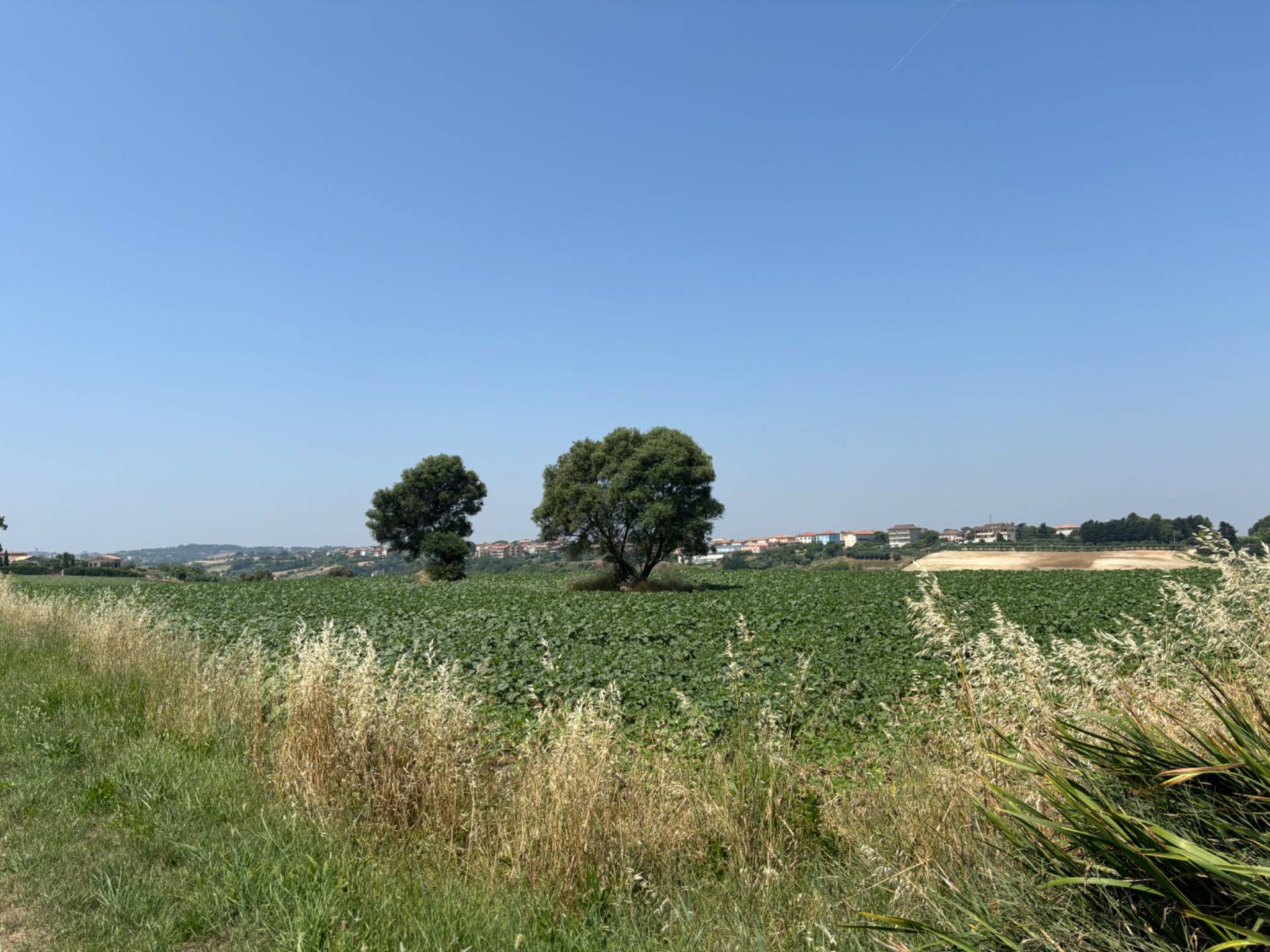 Villa in vendita a Porto Sant'Elpidio