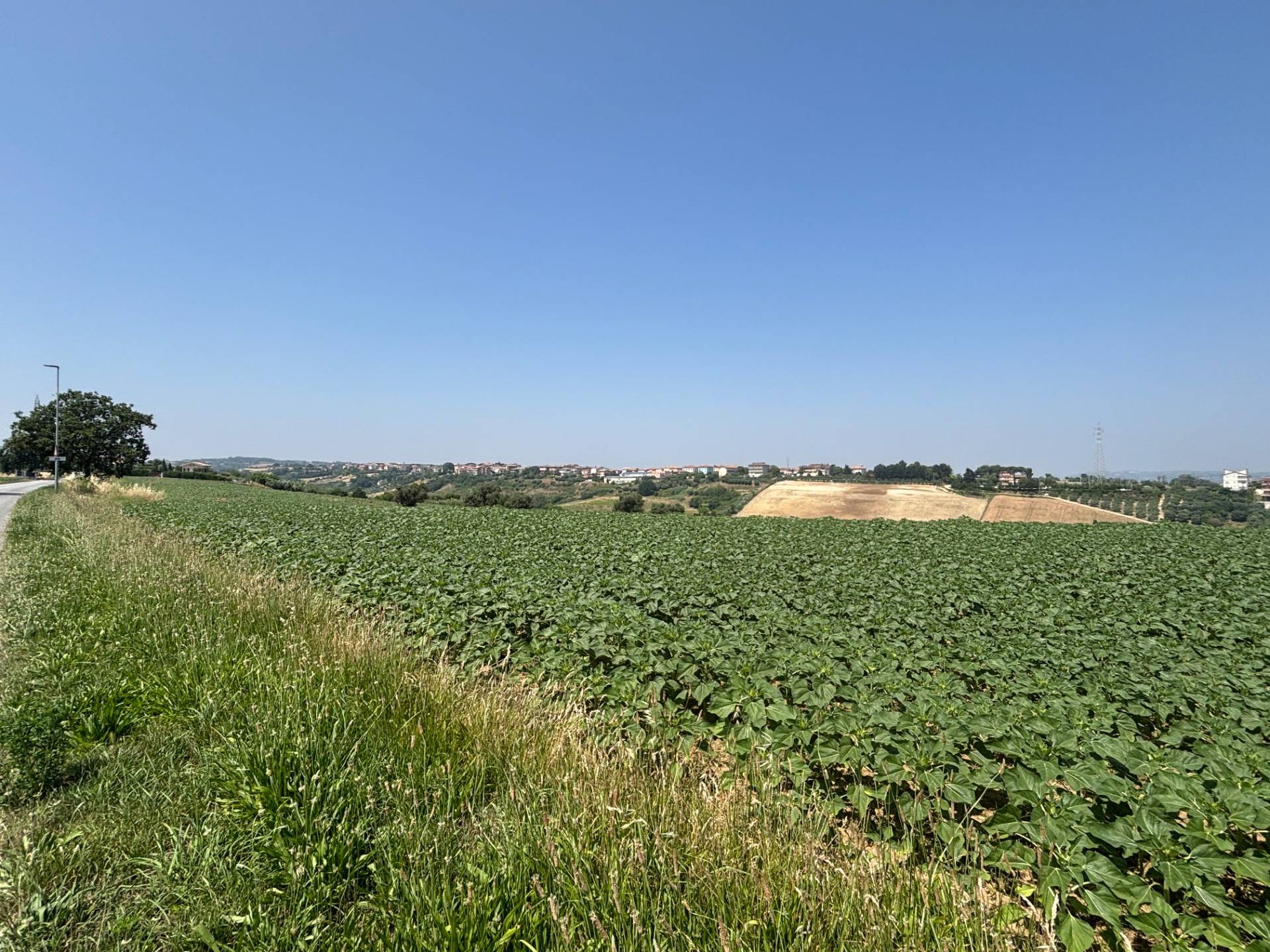 Villa in vendita a Porto Sant'Elpidio