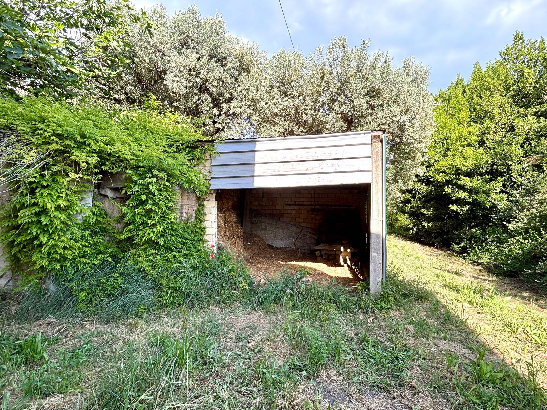 Rustico in vendita a Acquaviva Picena