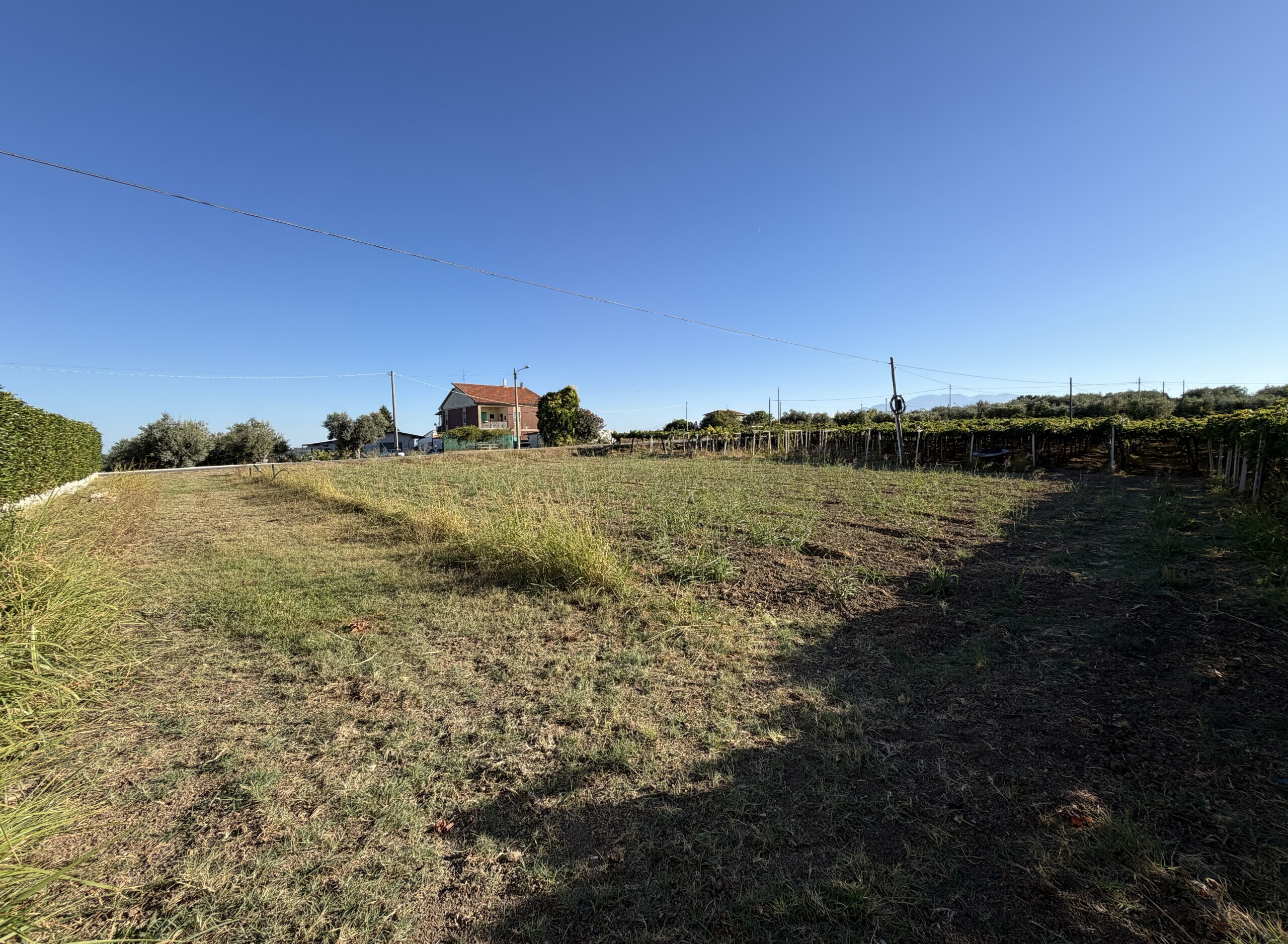 Terreno Agricolo in vendita a Francavilla al Mare