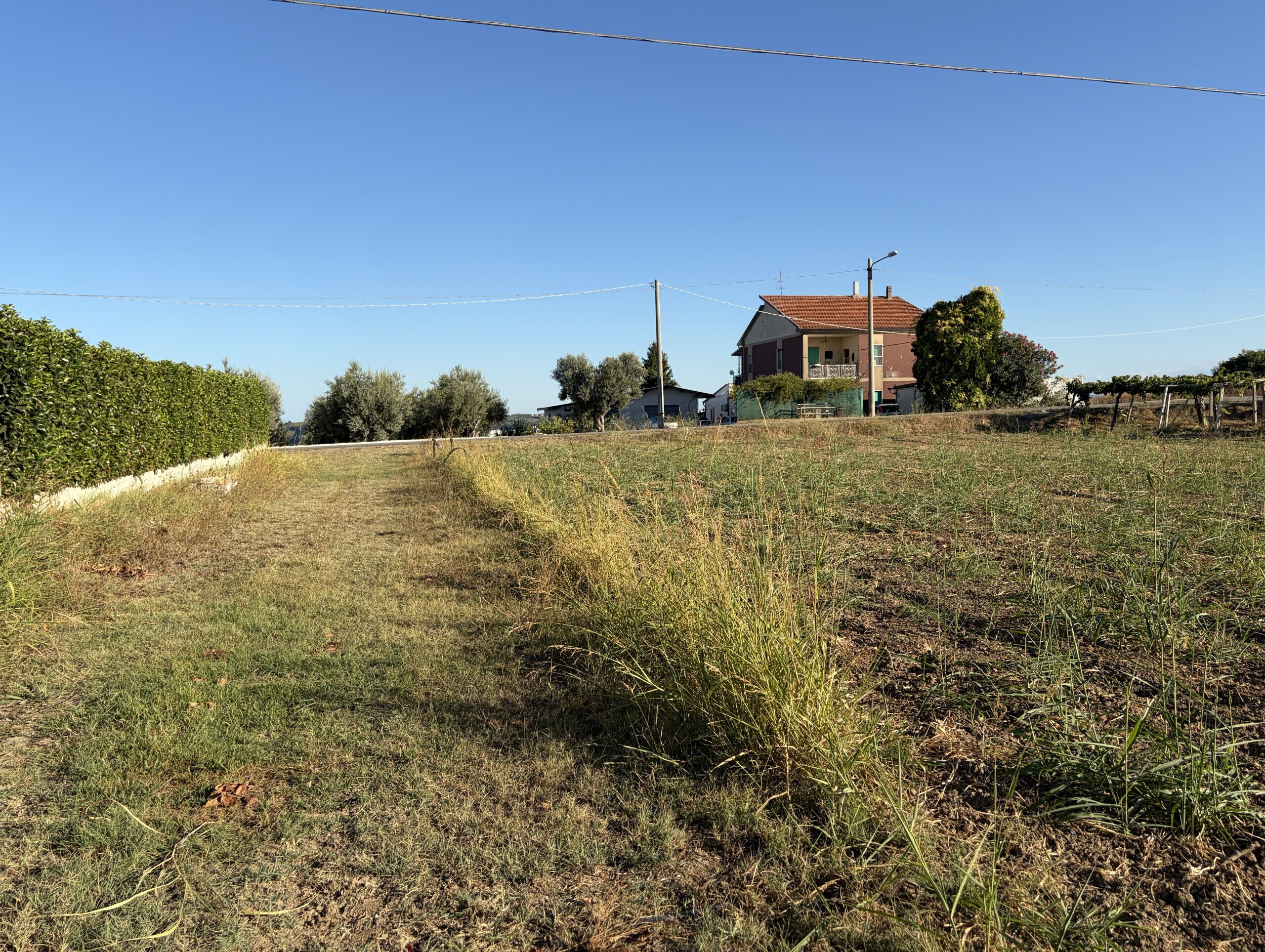 Terreno Agricolo in vendita a Francavilla al Mare