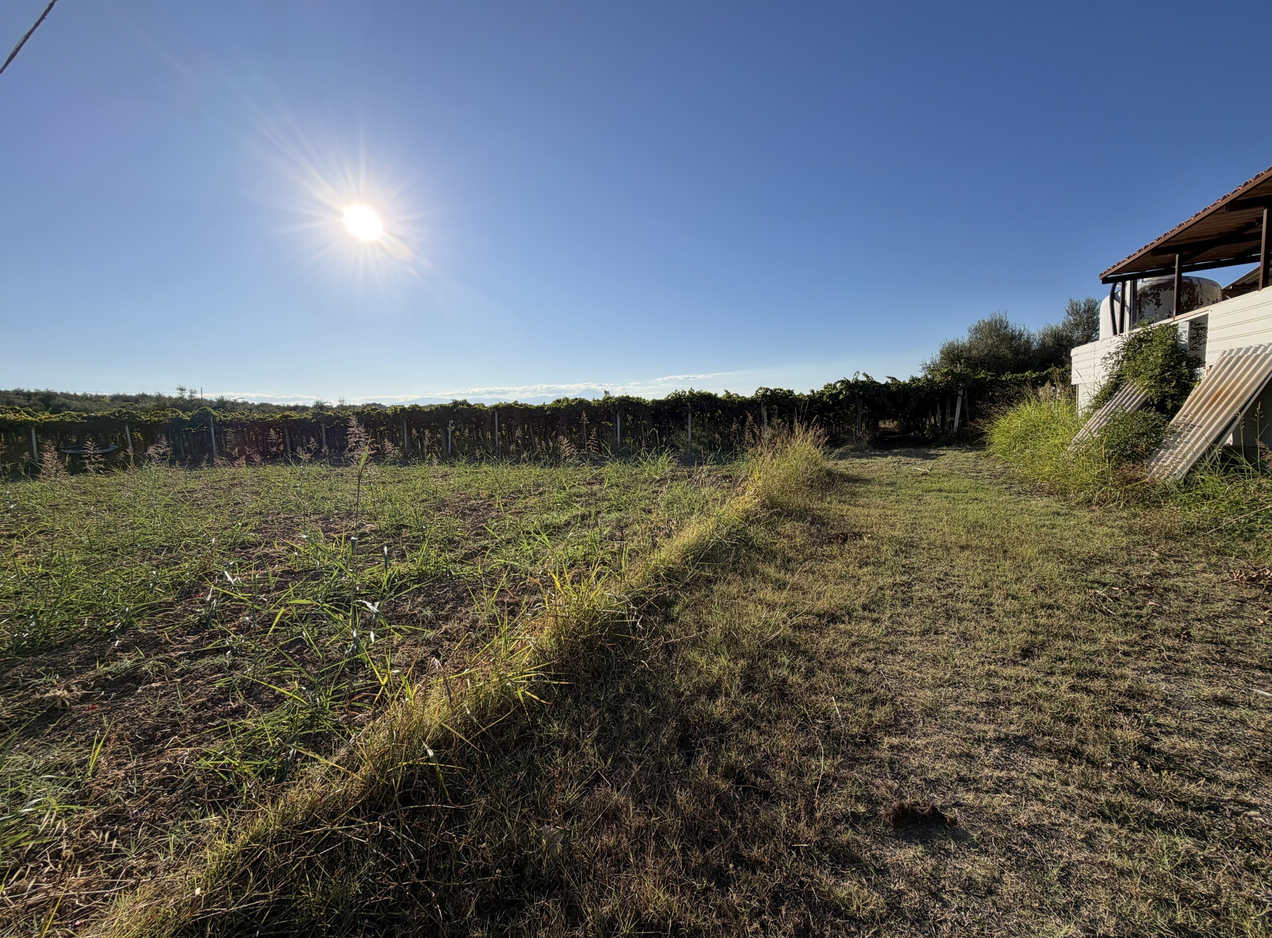 Terreno Agricolo in vendita a Francavilla al Mare