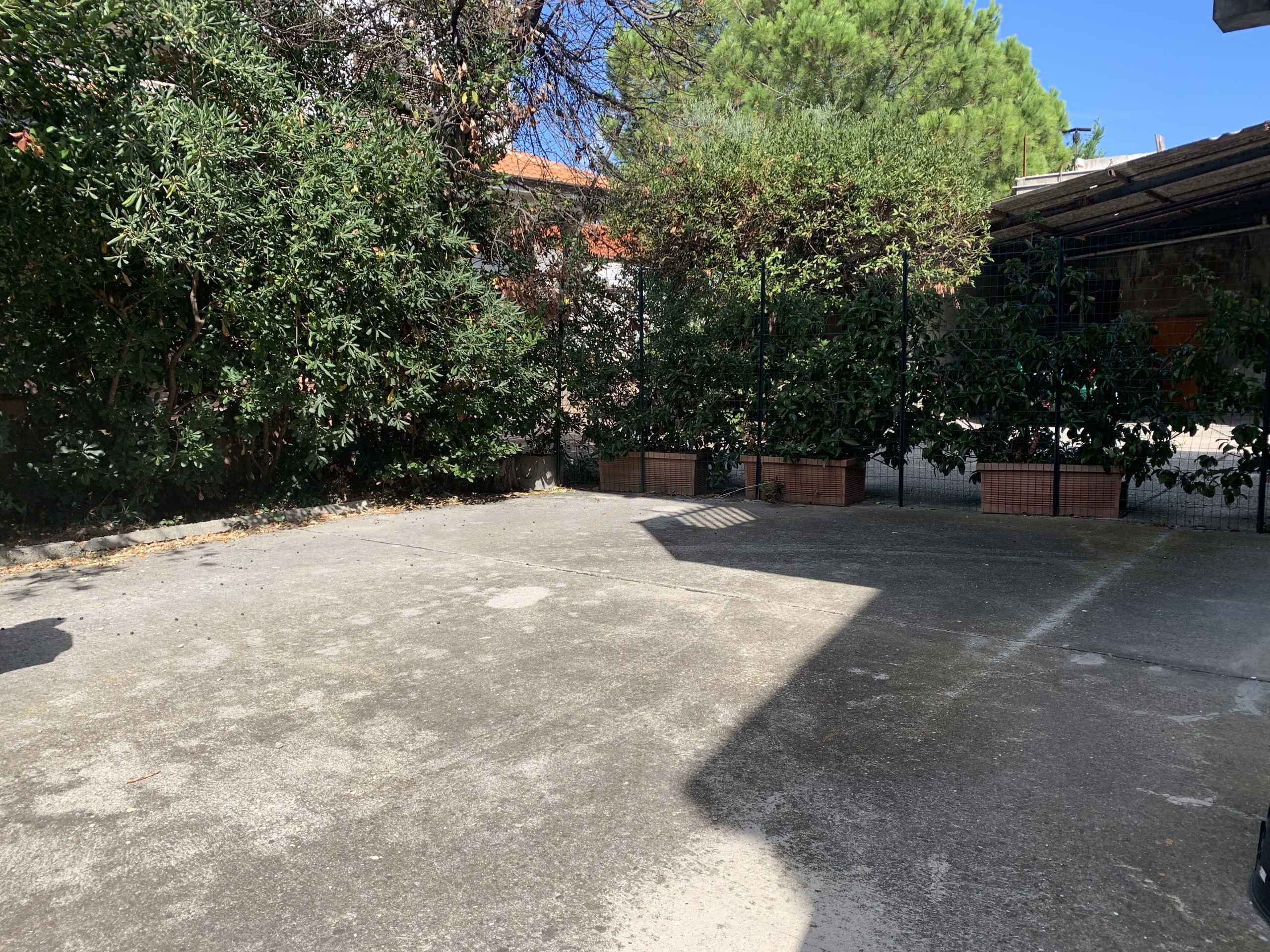 Casa indipendente in affitto a Francavilla al Mare