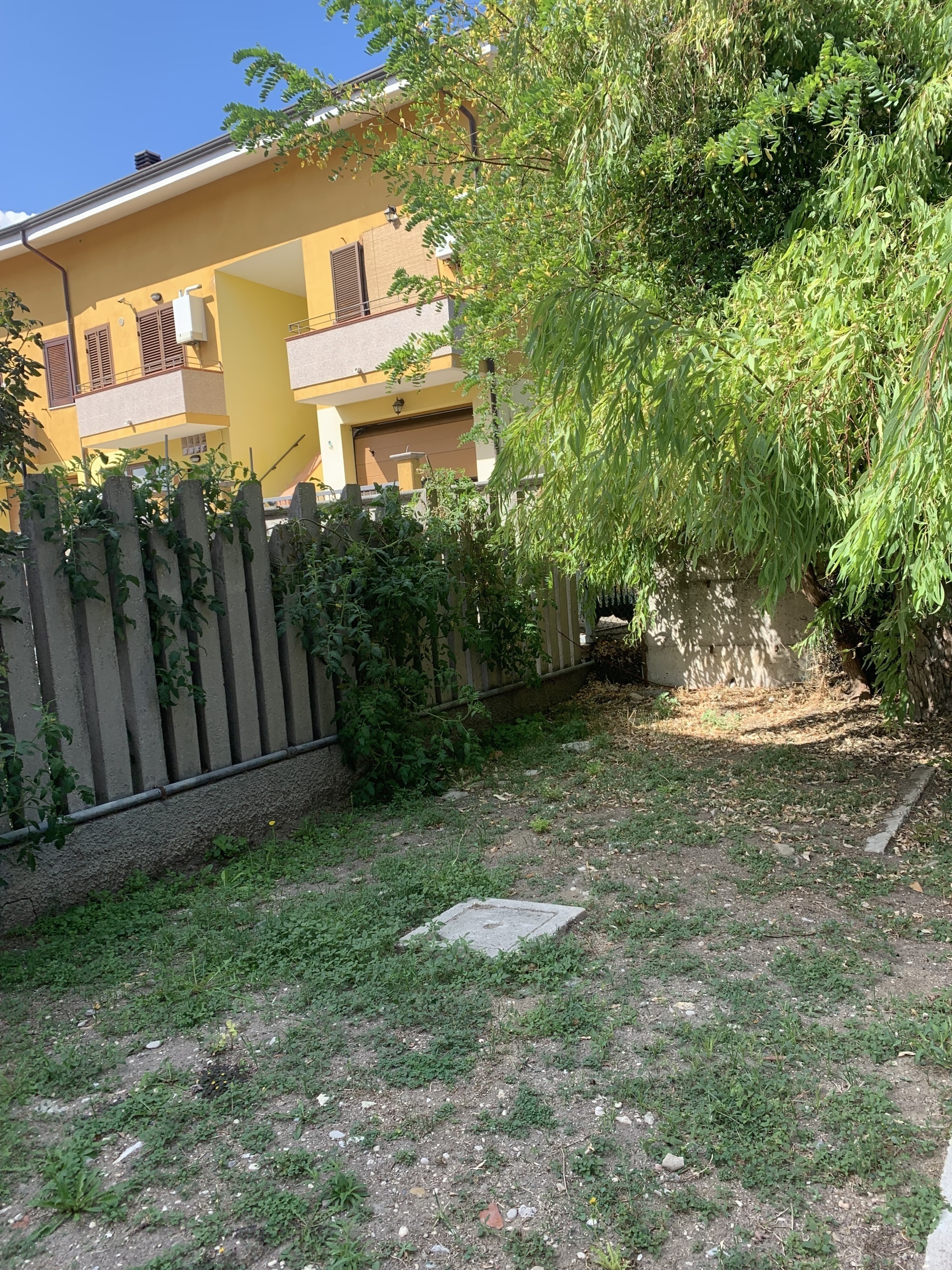 Casa indipendente in affitto a Francavilla al Mare