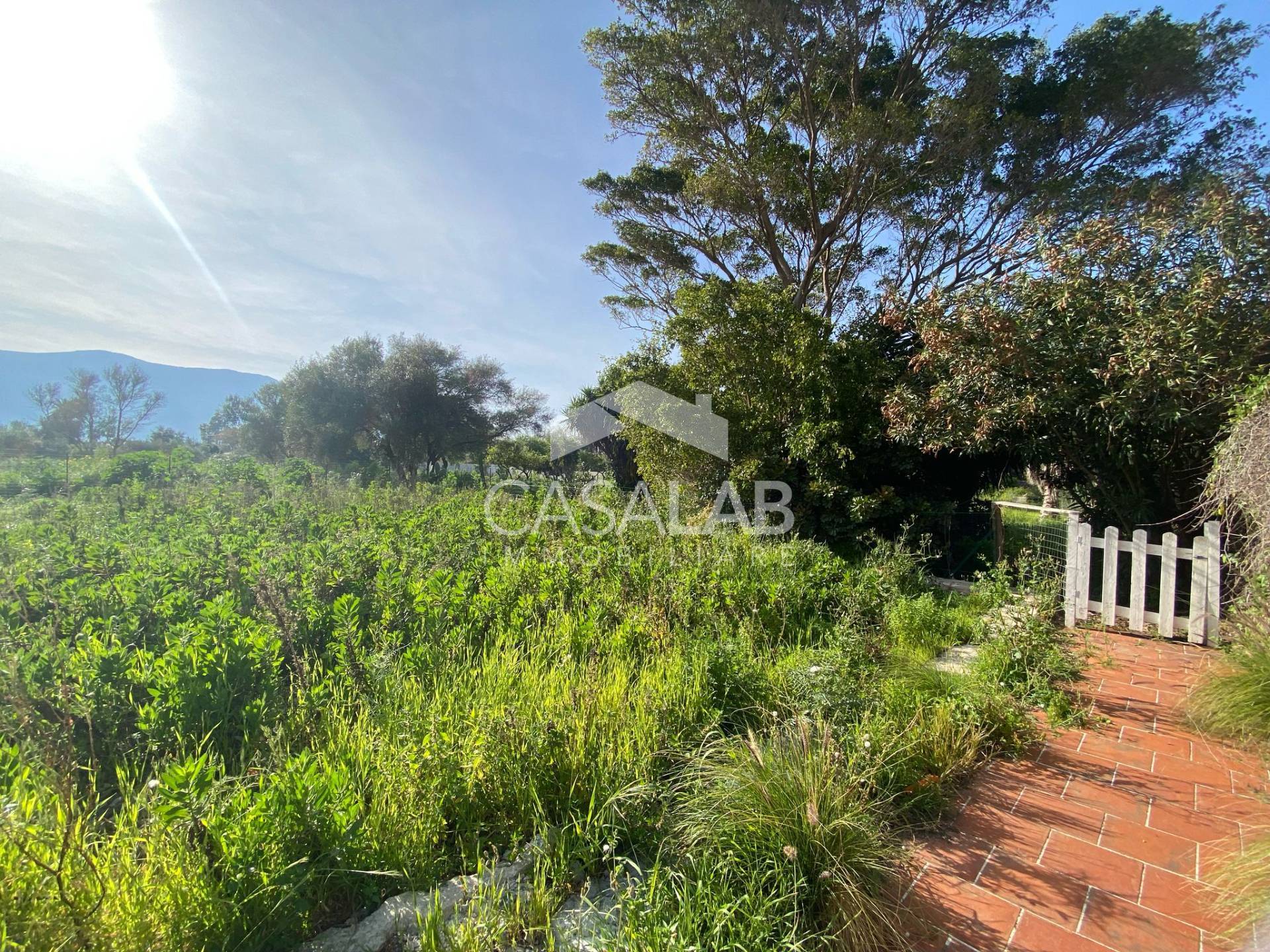 Terreno Agricolo in affitto a Carini, J.Walker
