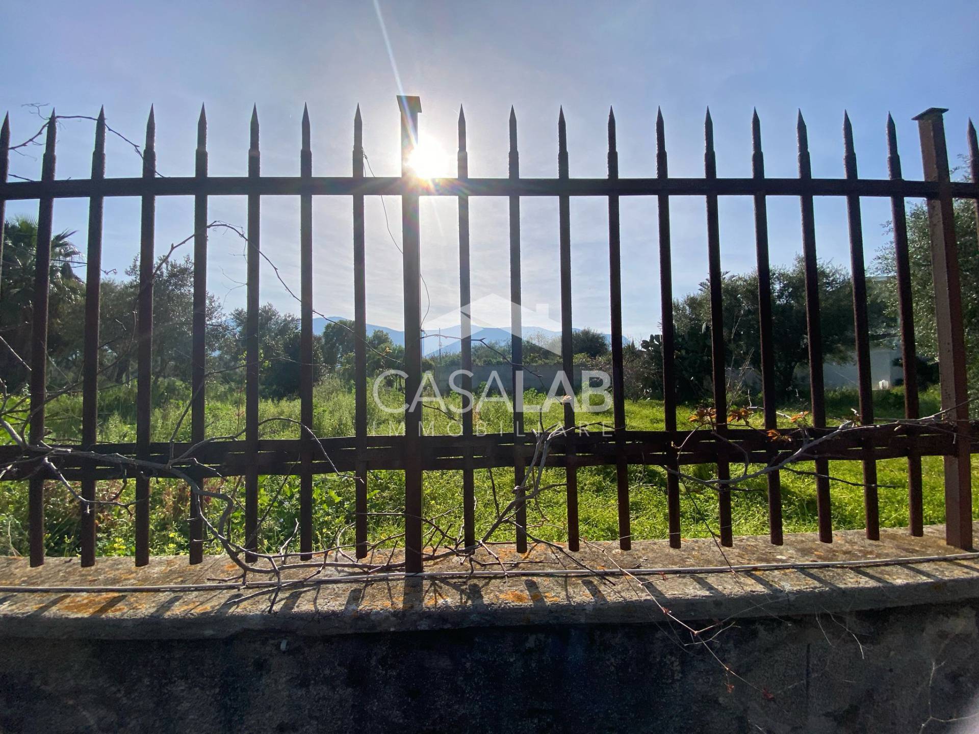 Terreno Agricolo in affitto a Carini, J.Walker