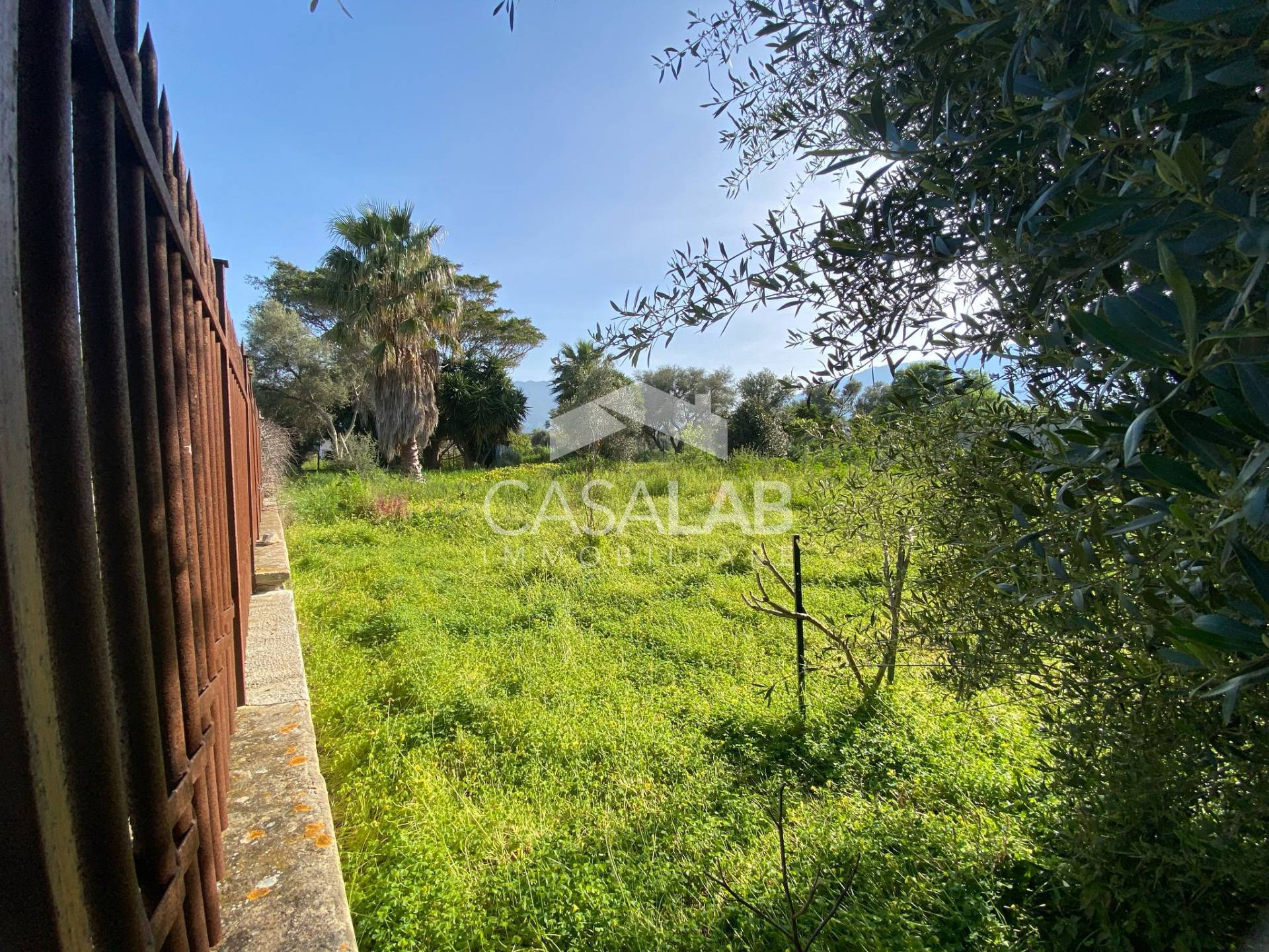 Terreno Agricolo in affitto a Carini, J.Walker