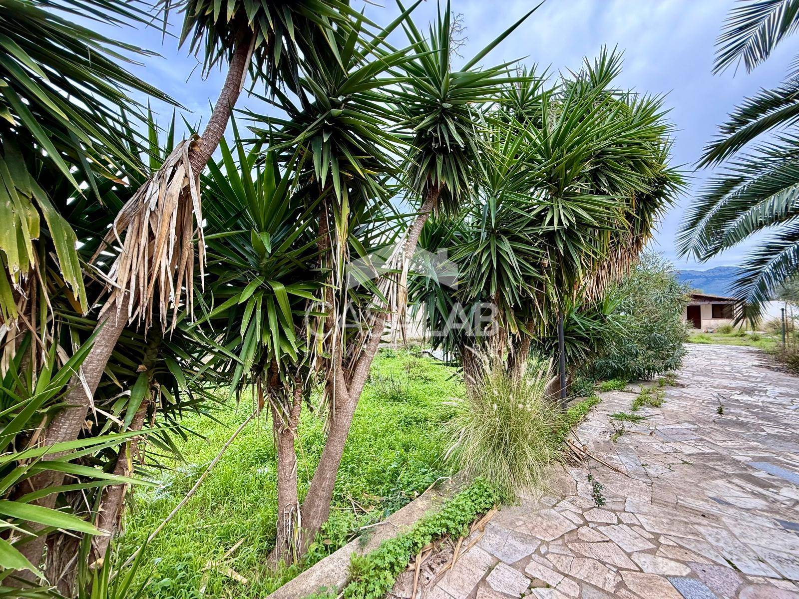 Terreno Agricolo in vendita a Carini, Berlinguer