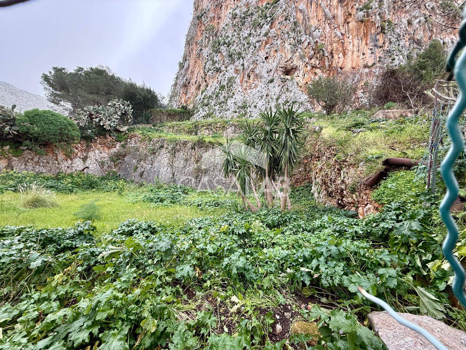 Terreno Agricolo in vendita a Carini, Carini