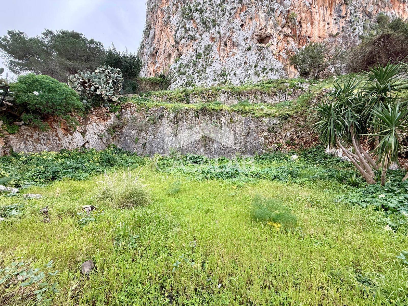 Terreno Agricolo in vendita a Carini, Carini