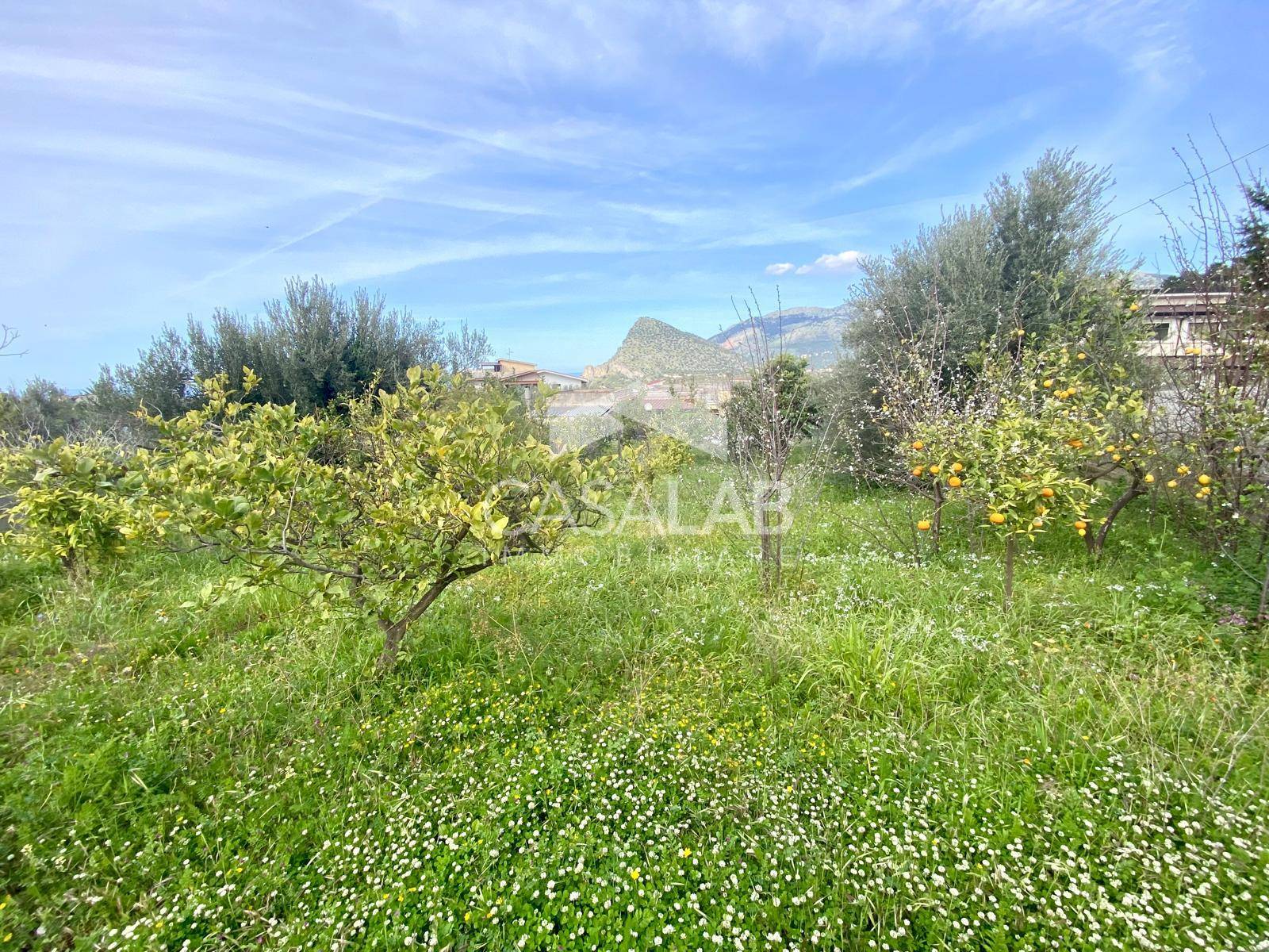 Terreno Agricolo in vendita a Carini, Carini Alta