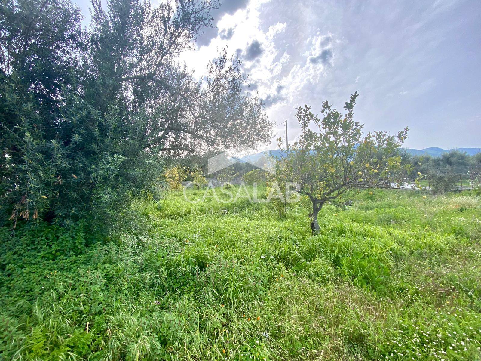 Terreno Agricolo in vendita a Carini, Carini Alta