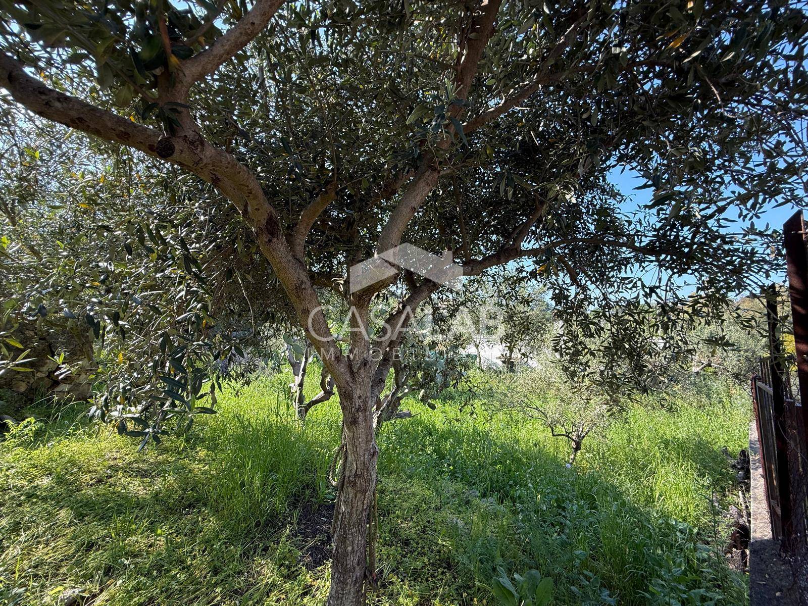 Terreno edificabile in vendita a Carini, Carini Alta