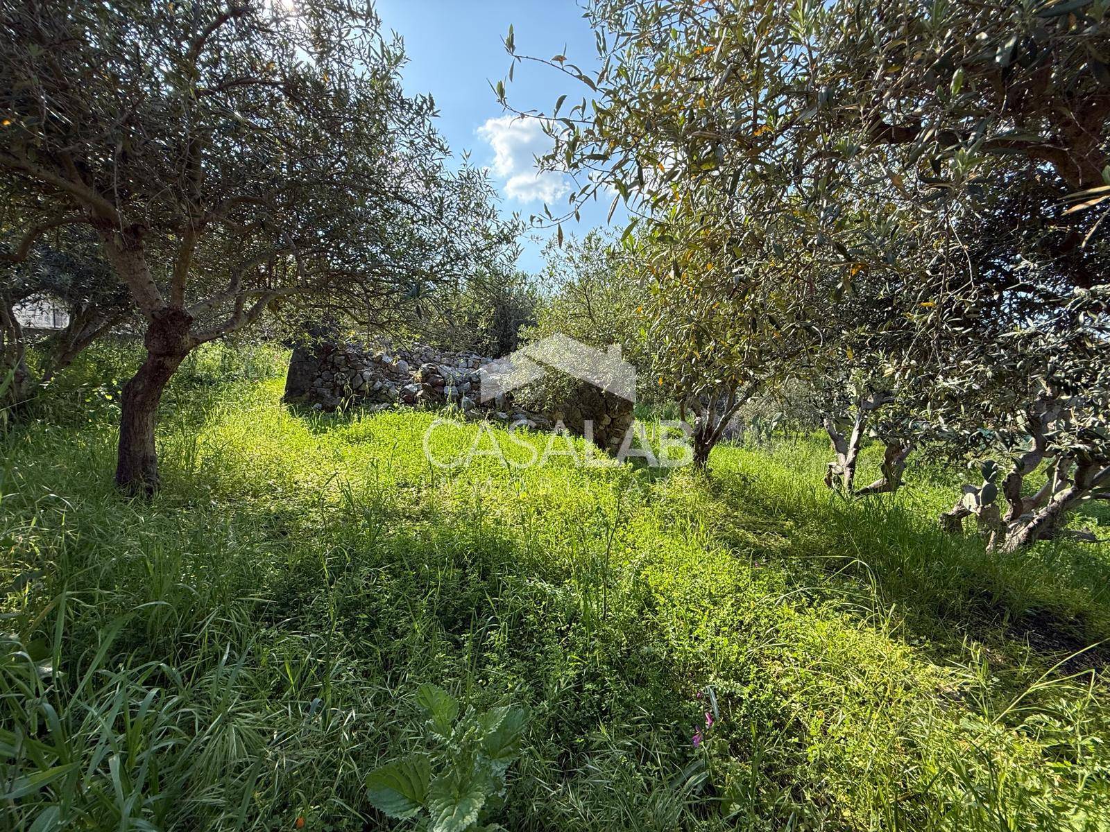 Terreno edificabile in vendita a Carini, Carini Alta