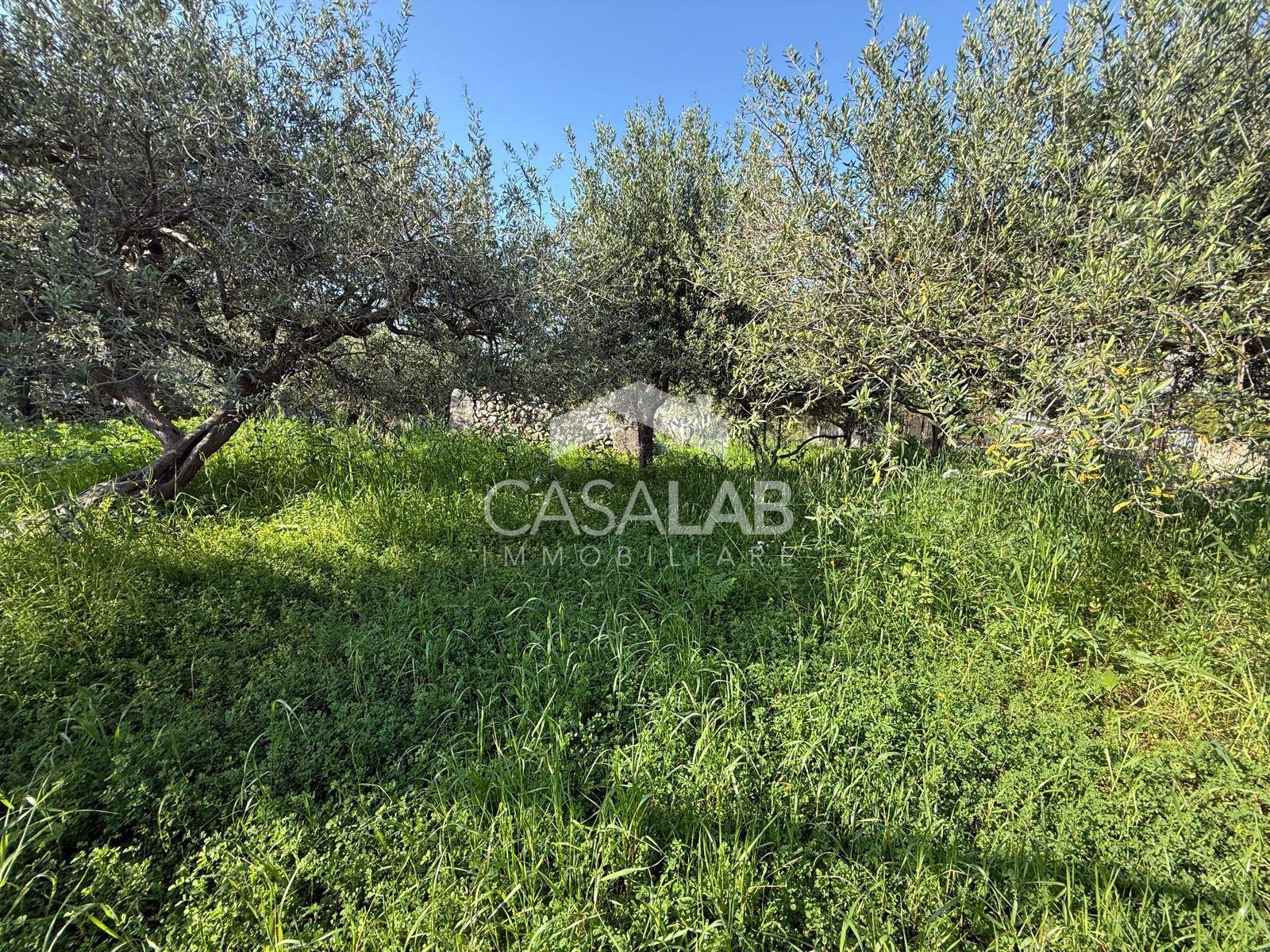 Terreno edificabile in vendita a Carini, Carini Alta