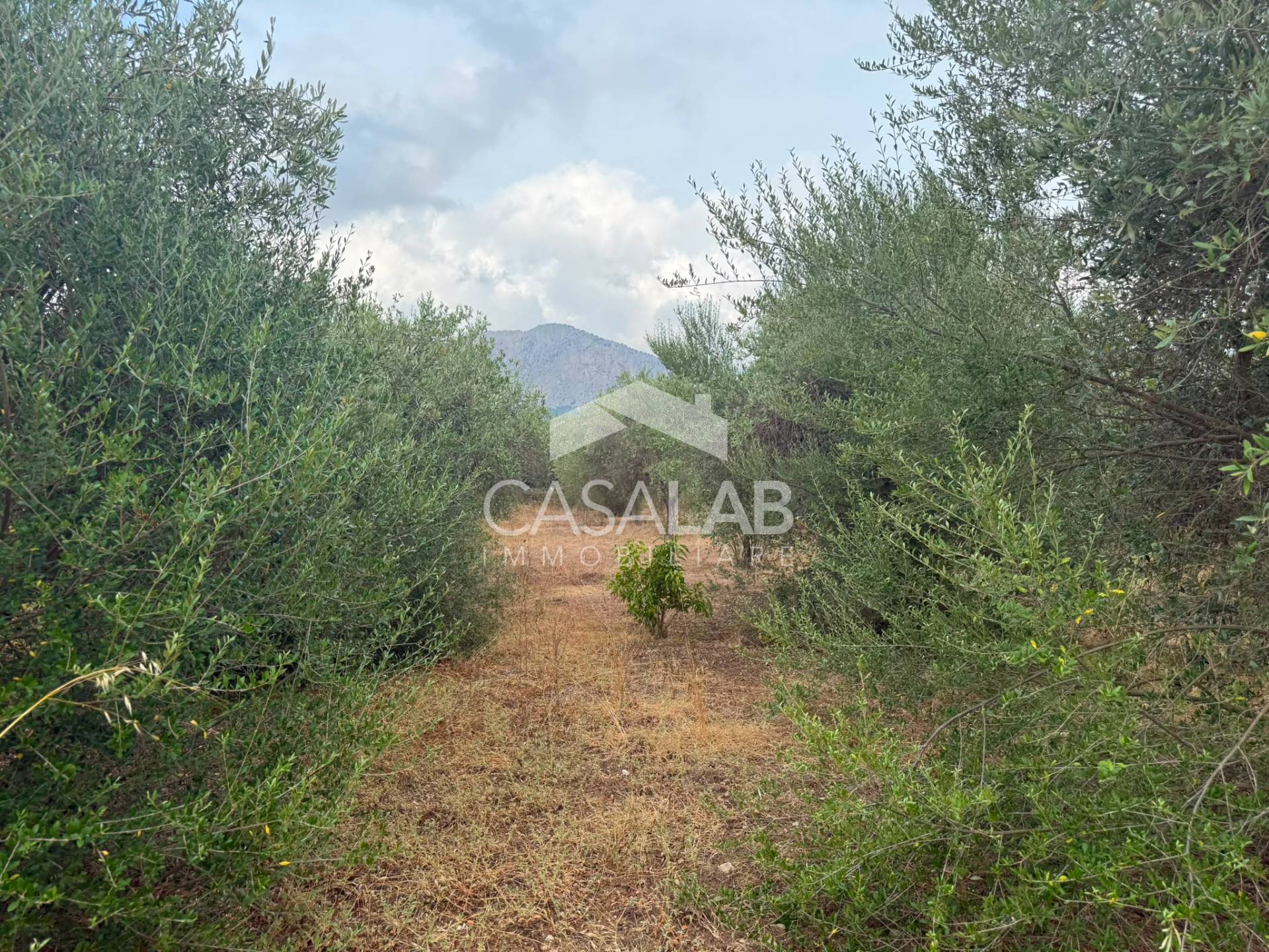 Terreno Agricolo in vendita a Carini, Bivio Foresta