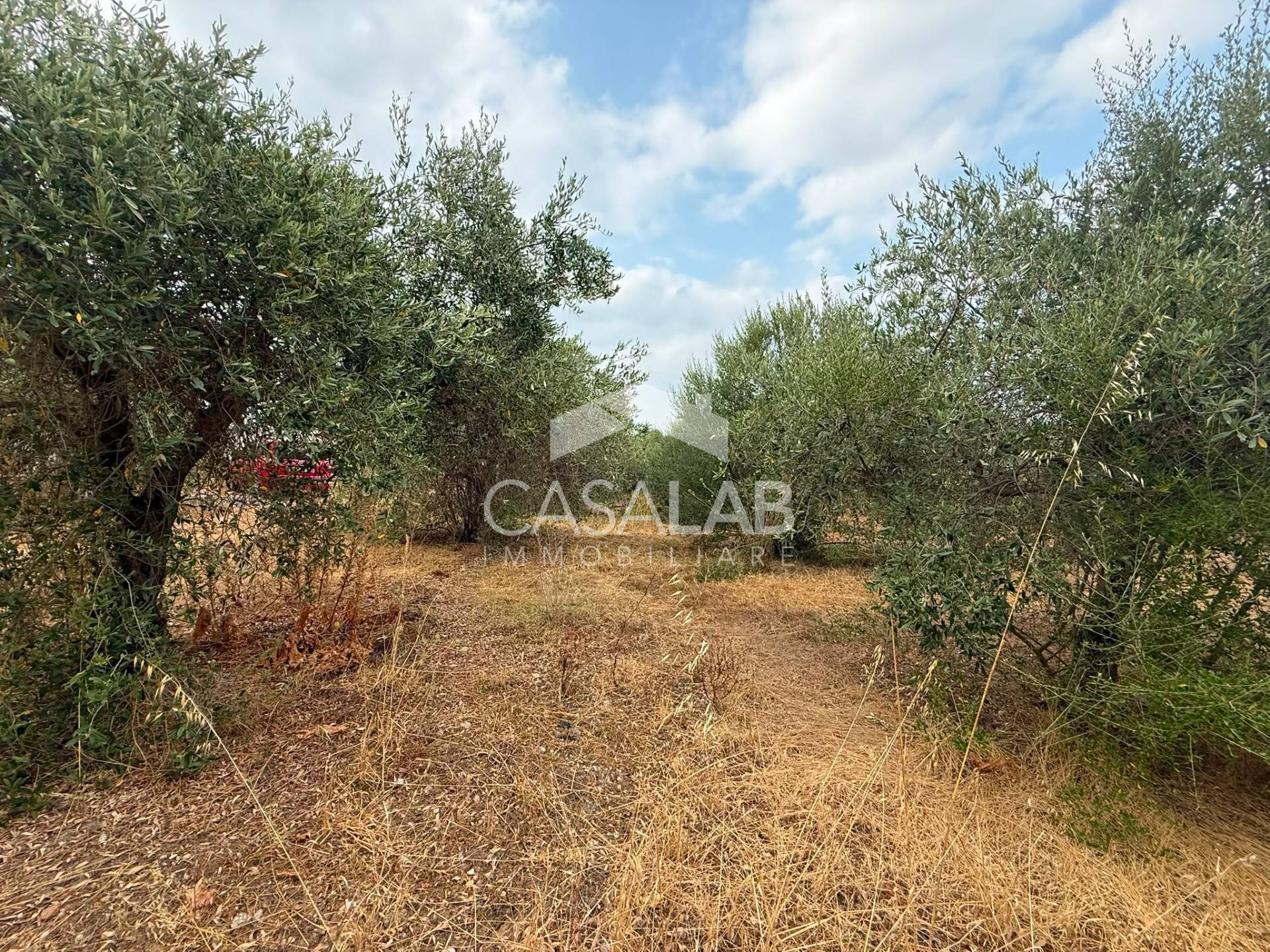 Terreno Agricolo in vendita a Carini, Bivio Foresta