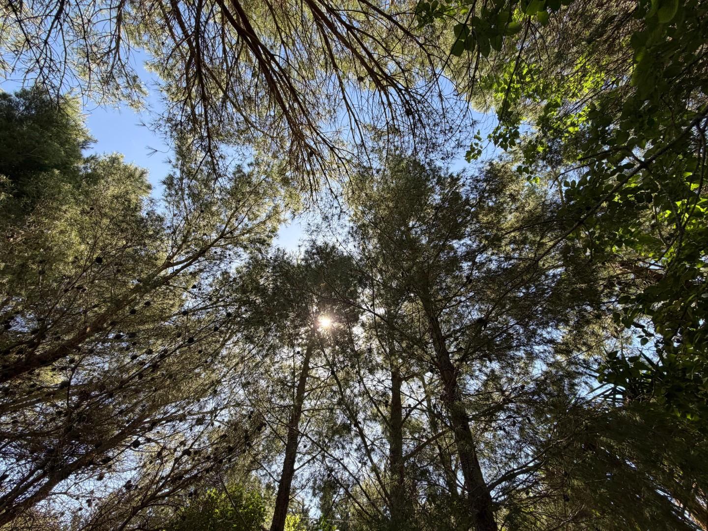 Terreno Agricolo in vendita a Lecce