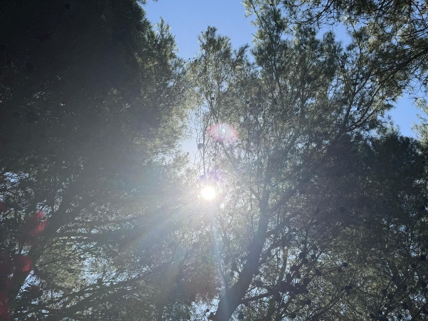 Terreno Agricolo in vendita a Lecce