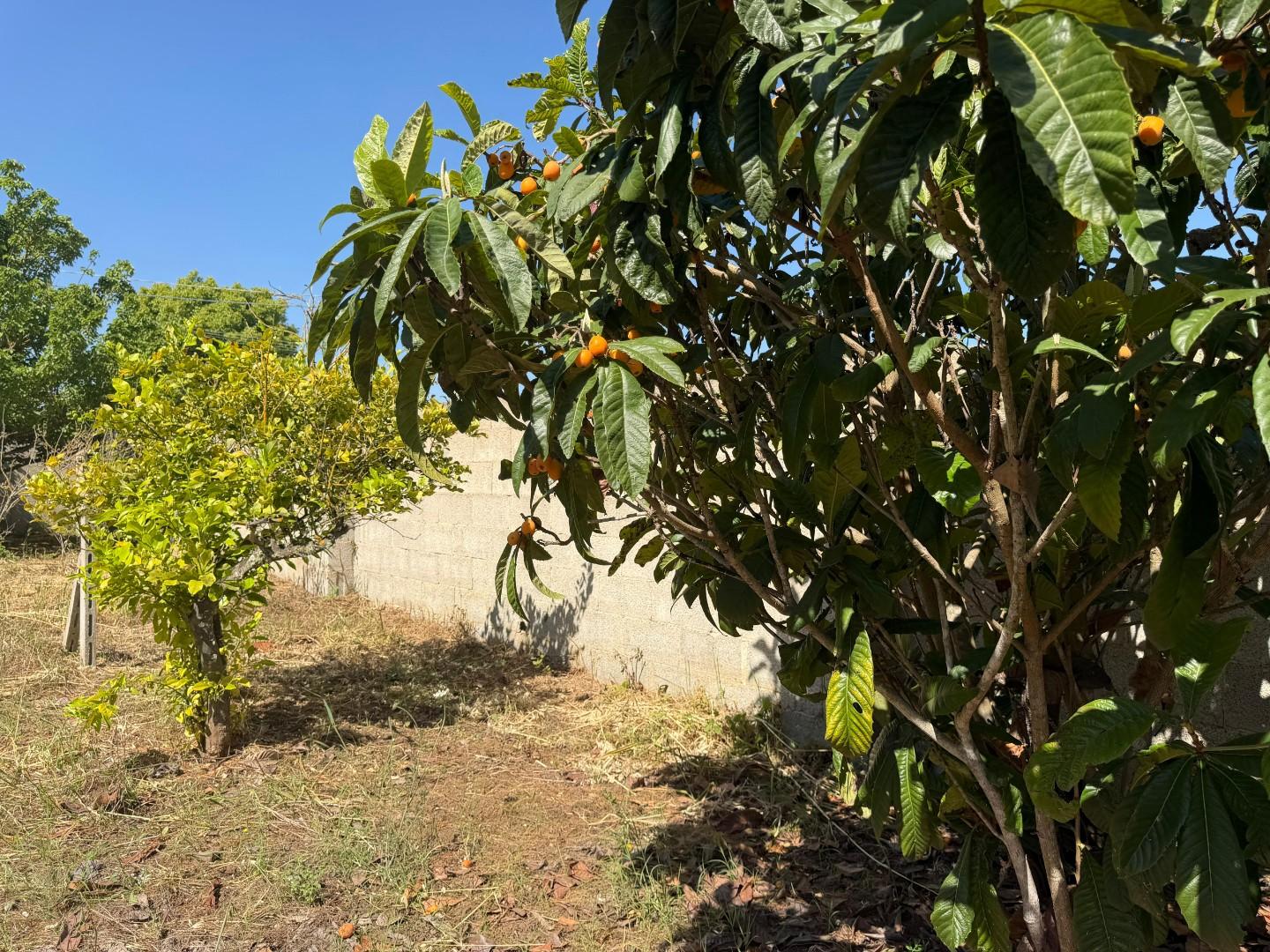 Terreno Agricolo in vendita a Lecce