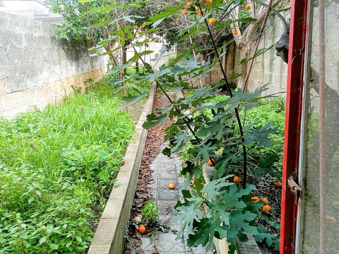 Casa indipendente con giardino, Lizzanello merine