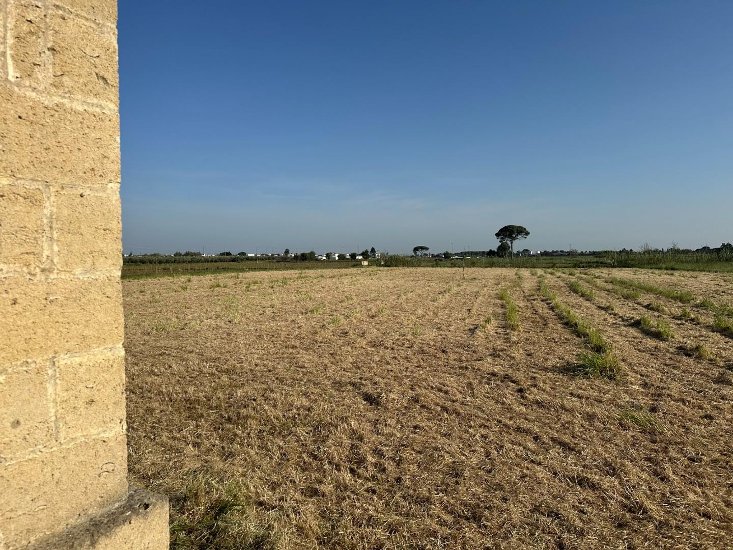 Terreno Edificabile in vendita a Carmiano