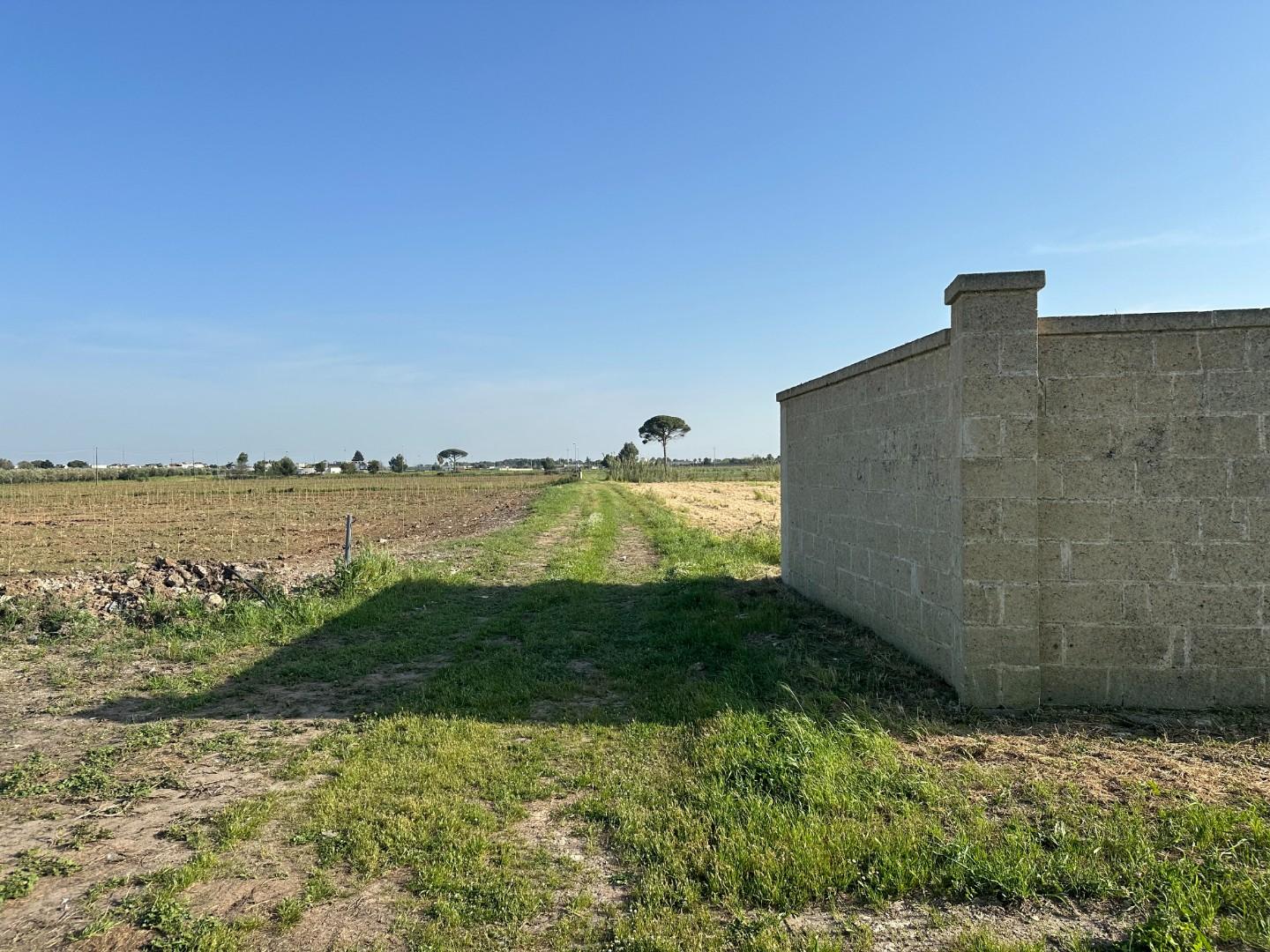 Terreno Edificabile in vendita a Carmiano