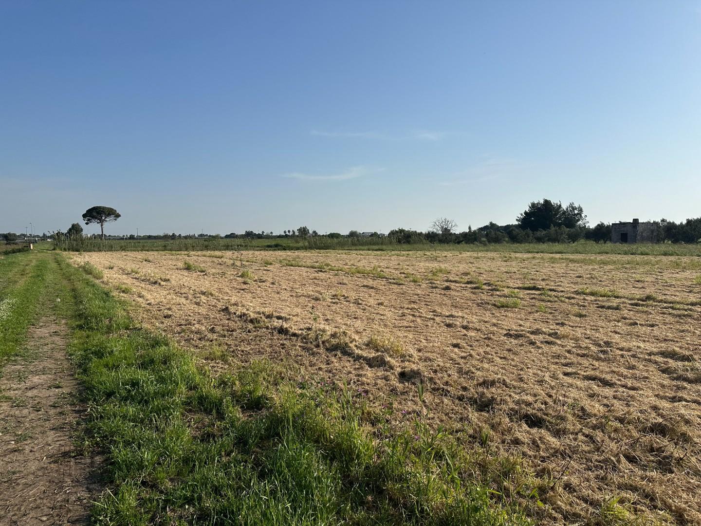 Terreno Edificabile in vendita a Carmiano