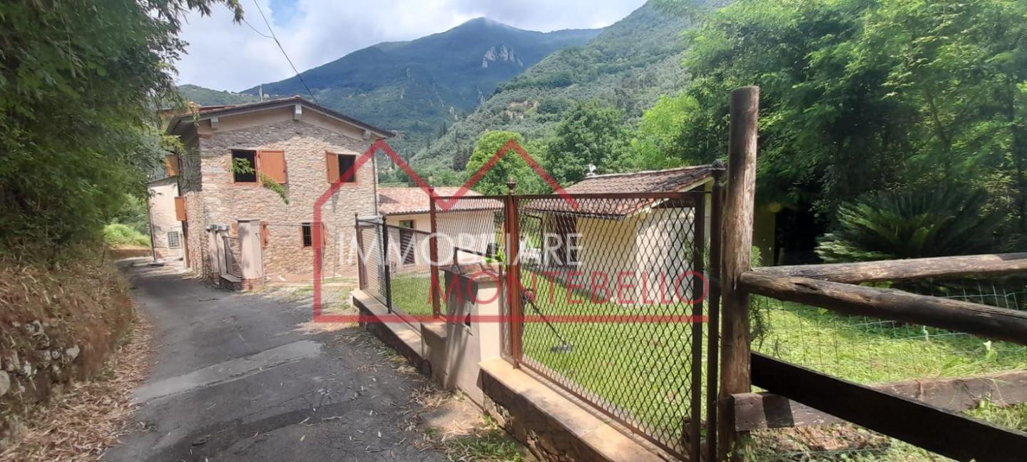immagine annuncio 3 di 6