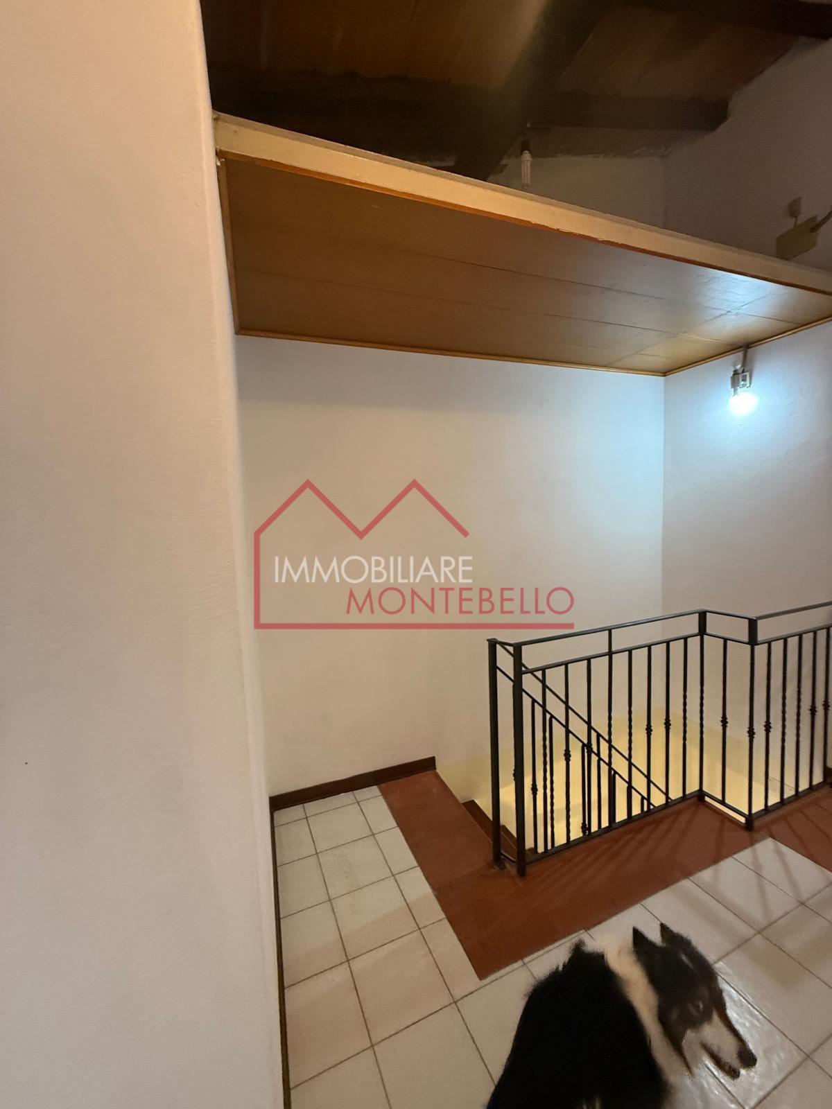 Casa indipendente in vendita, Camaiore montebello